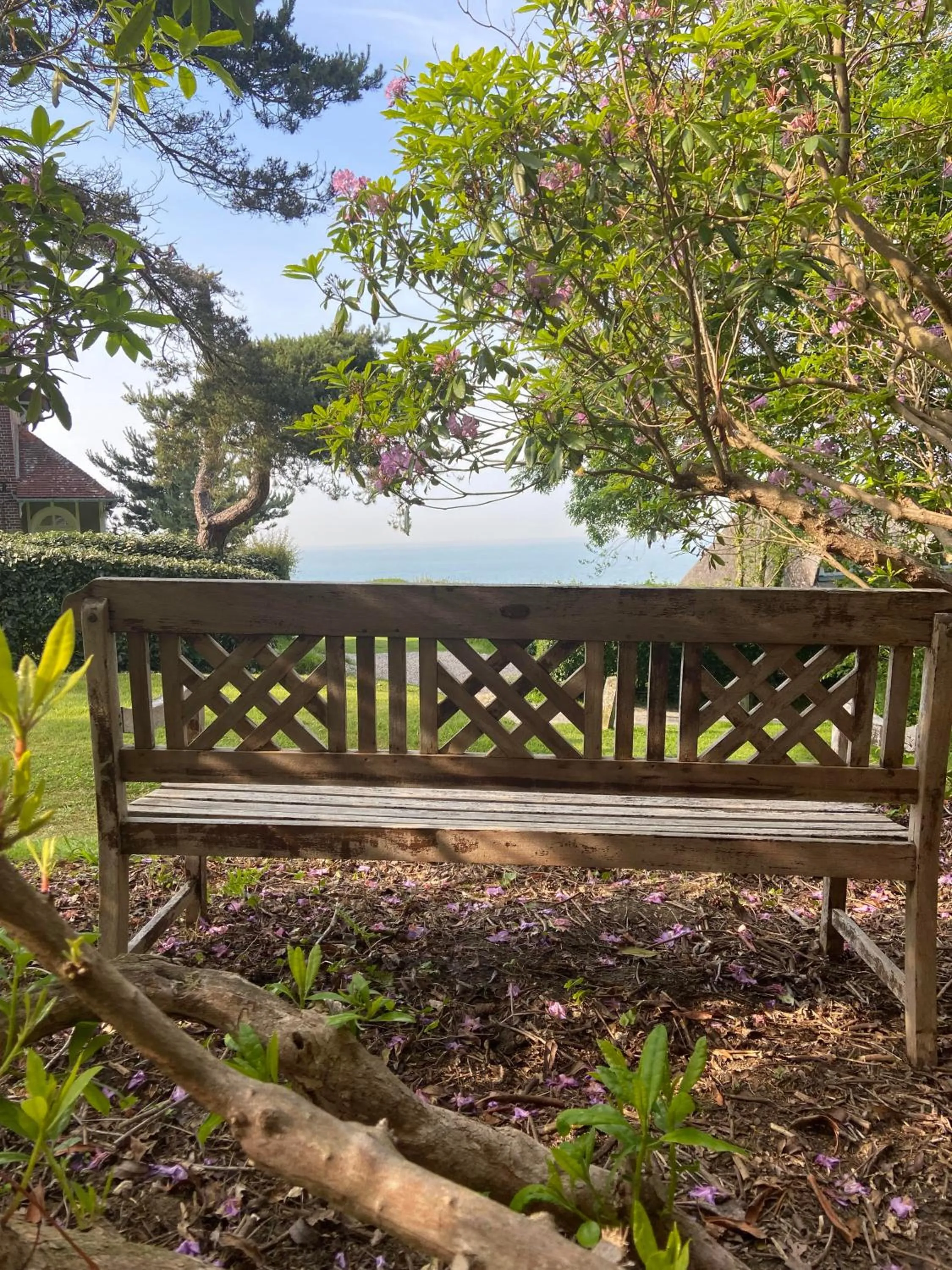 Garden in Hôtel De La Terrasse