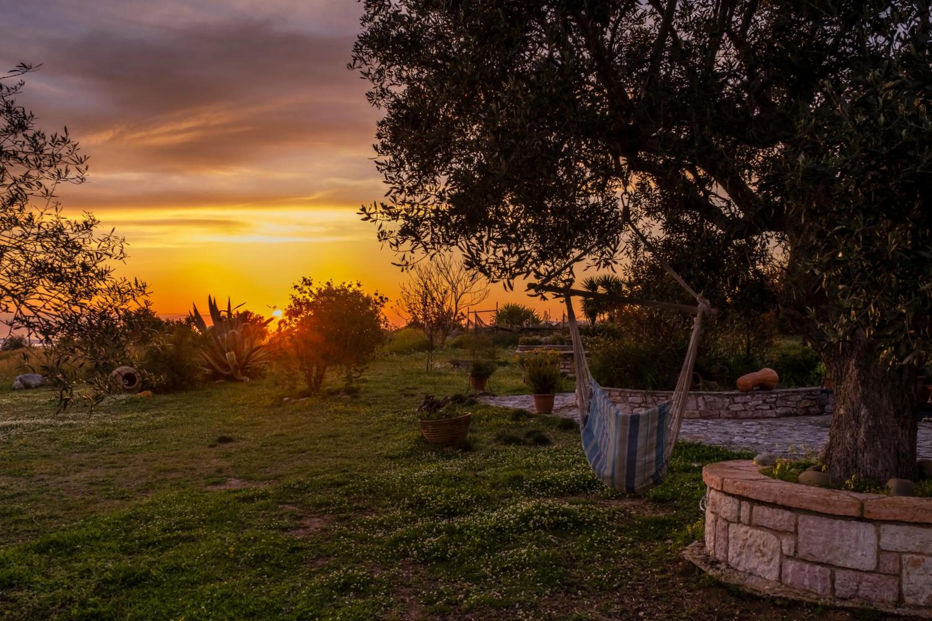 Garden in Chamaloni Cottages