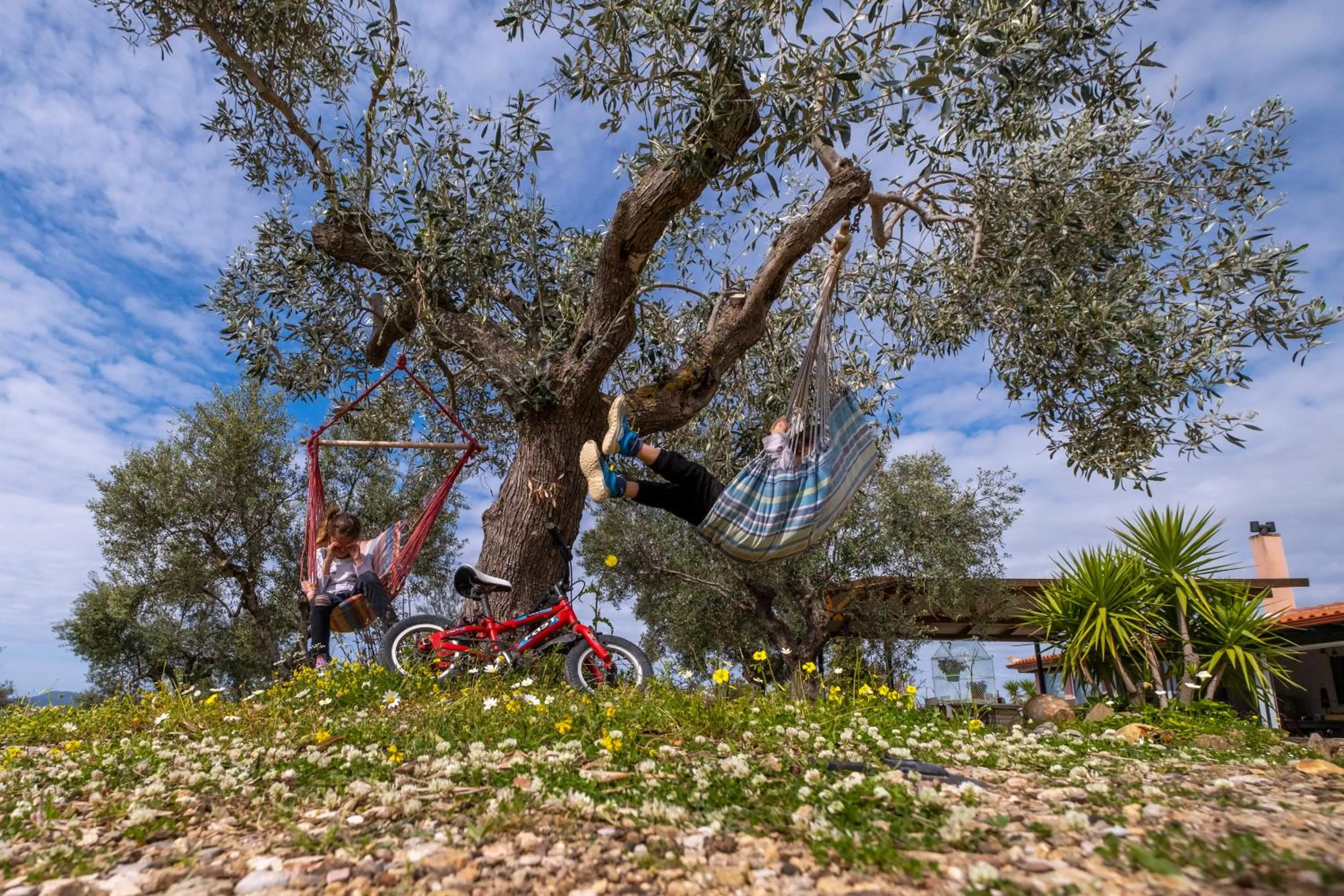 Activities in Chamaloni Cottages