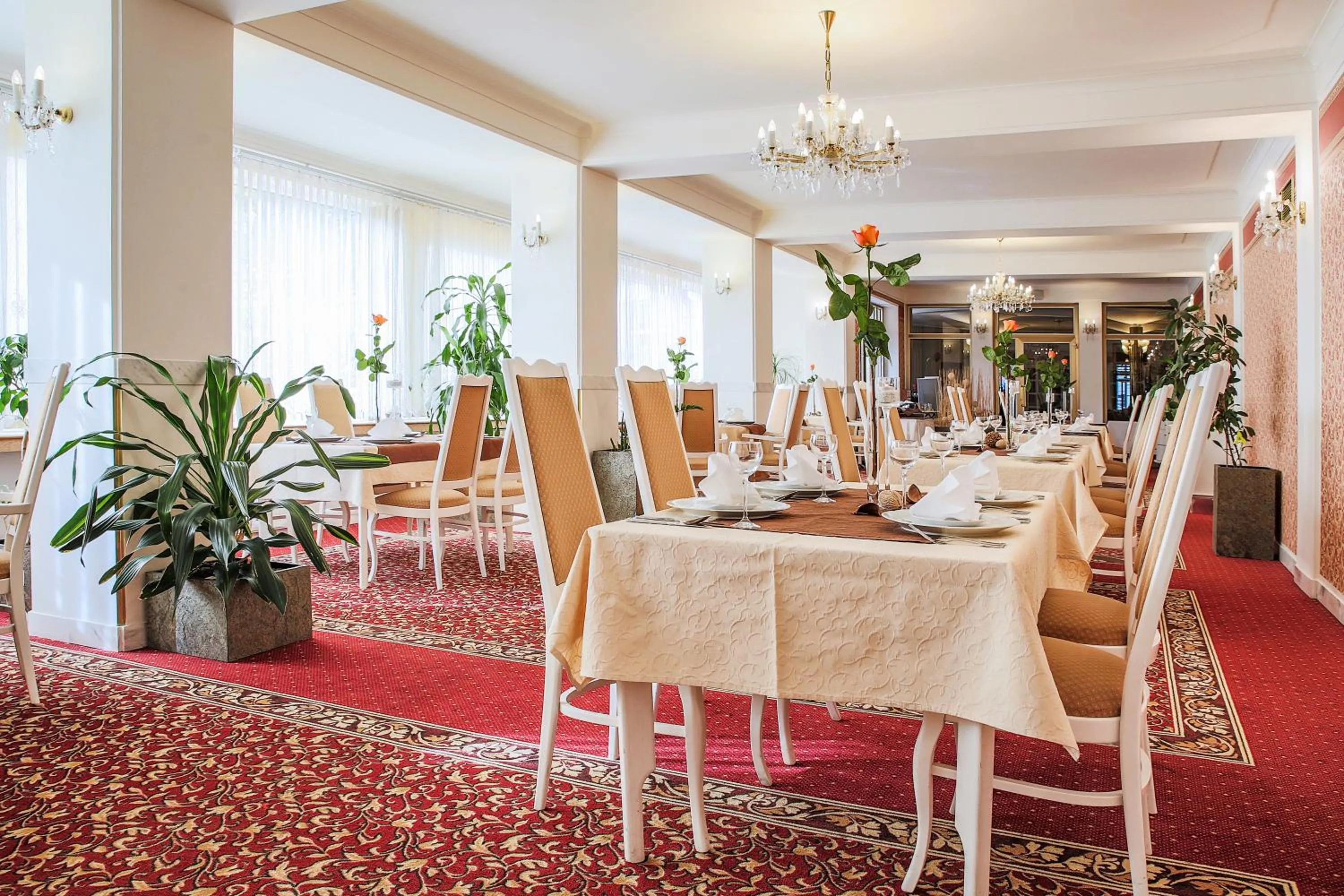 Restaurant/places to eat in Hotel Ostrov