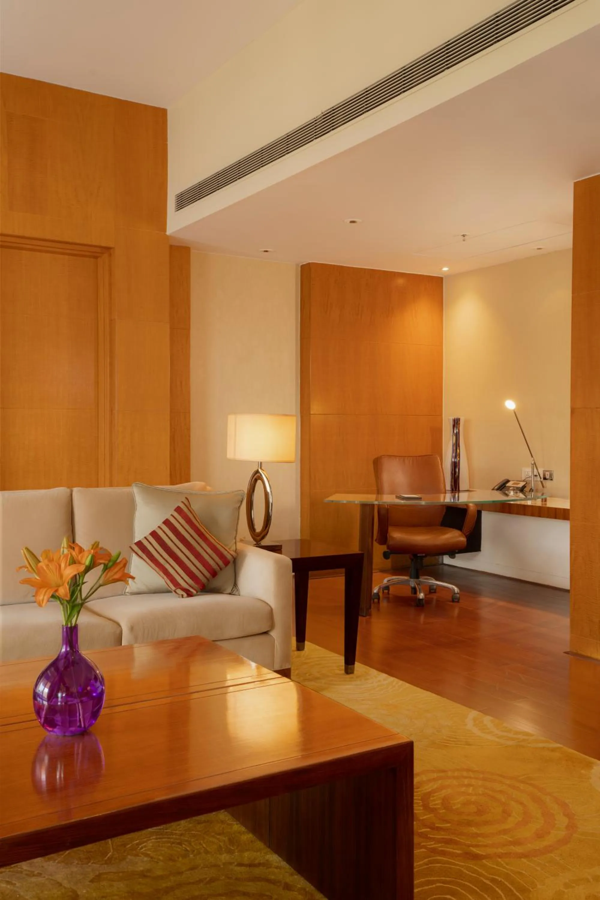 Living room in Hyatt Regency Pune Hotel & Residences