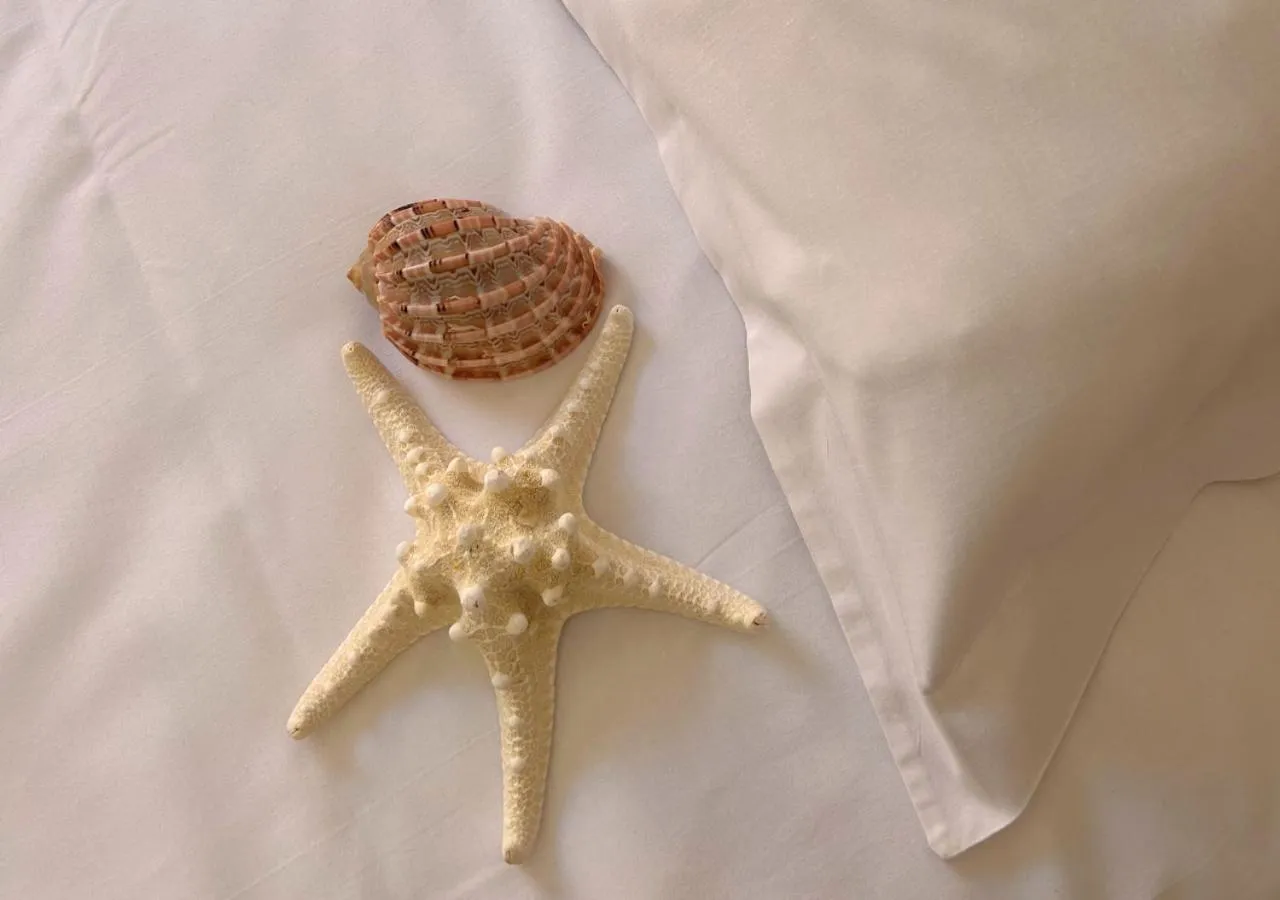 Bed in Hôtel Le Carnon