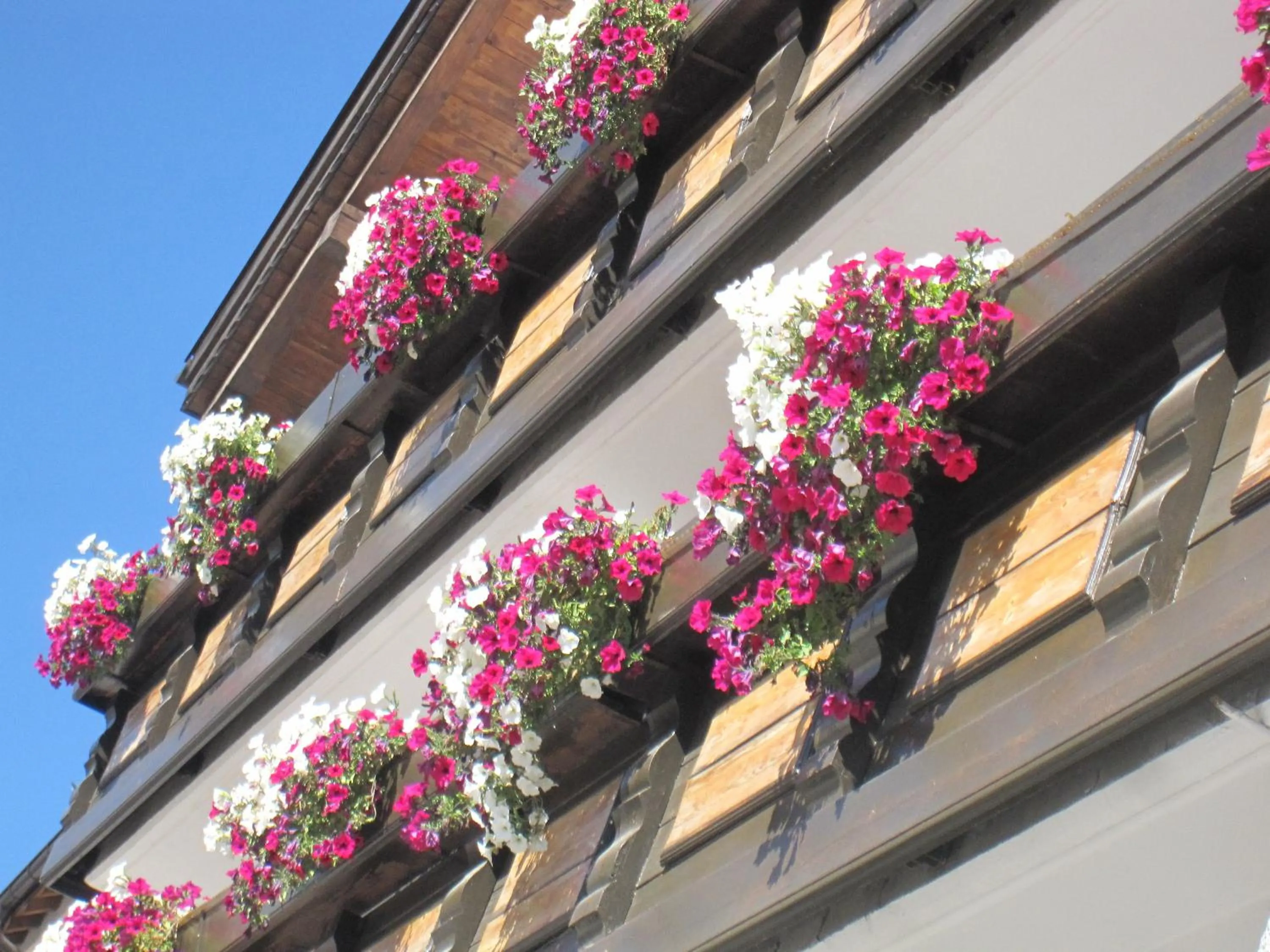 Facade/entrance in Hotel Presena
