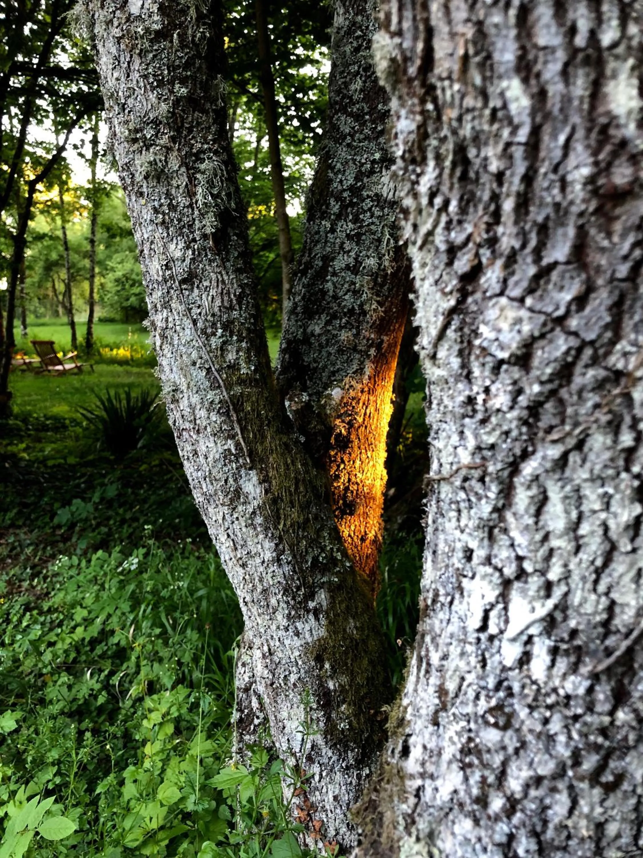 Garden in Domaine de l'Ocrerie