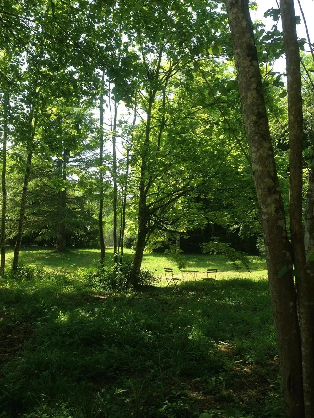 Garden in Domaine de l'Ocrerie