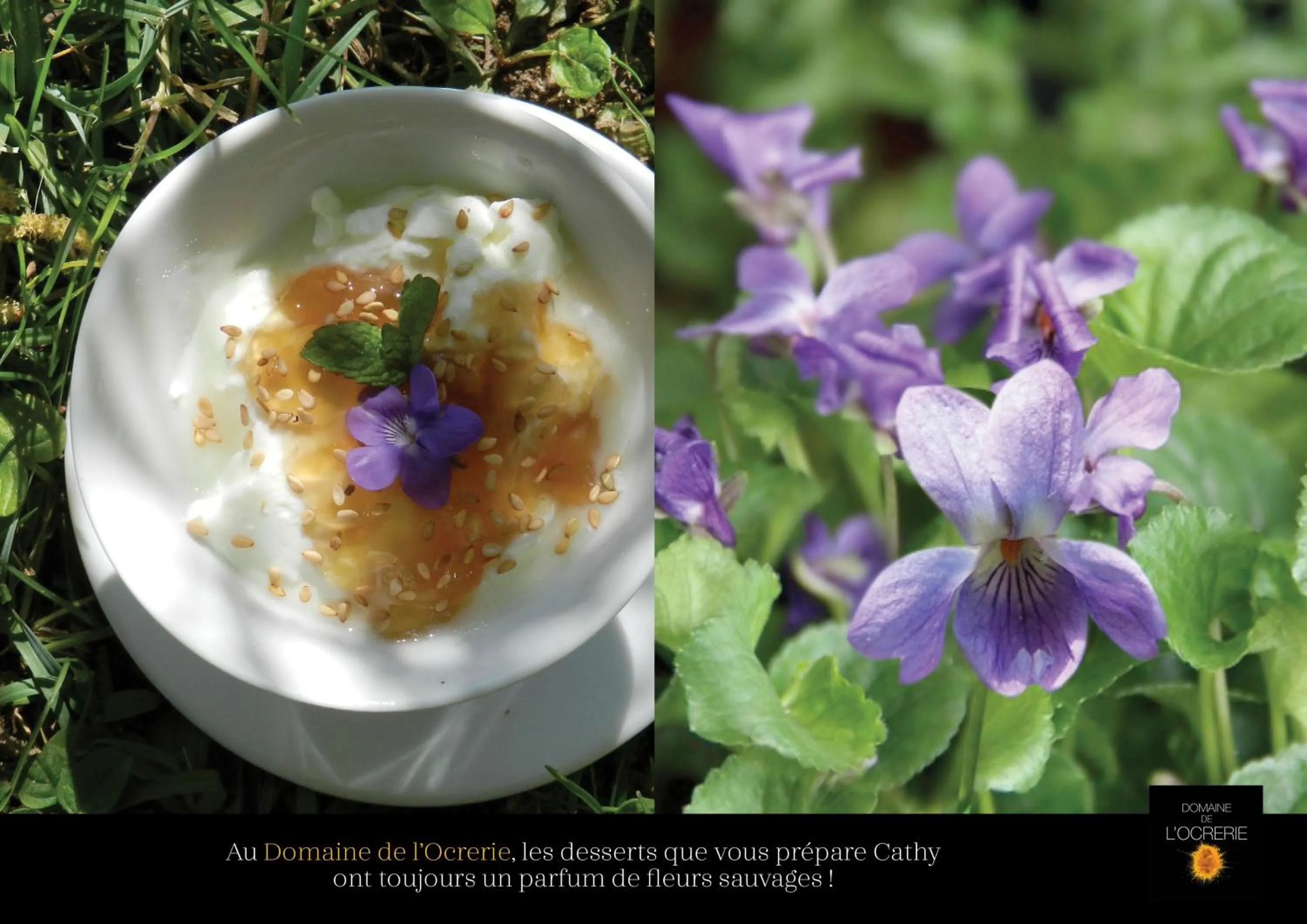 Spring in Domaine de l'Ocrerie