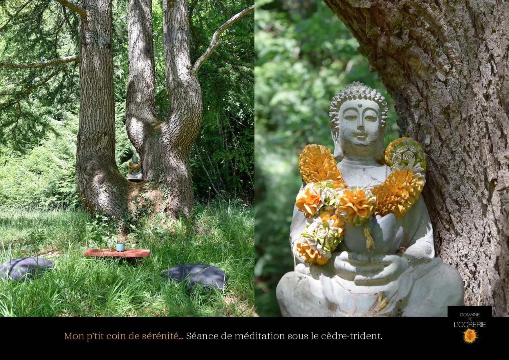 Natural landscape in Domaine de l'Ocrerie