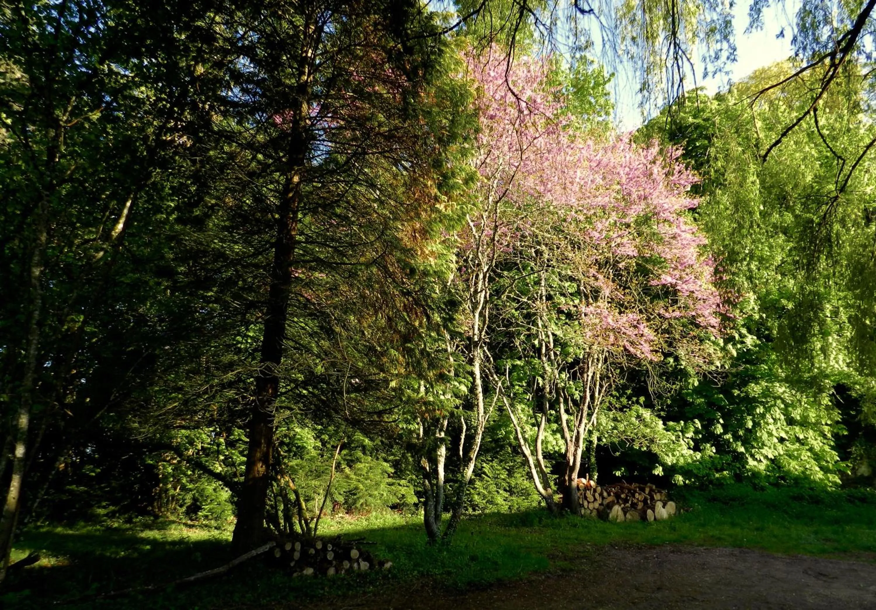 Natural landscape in Domaine de l'Ocrerie