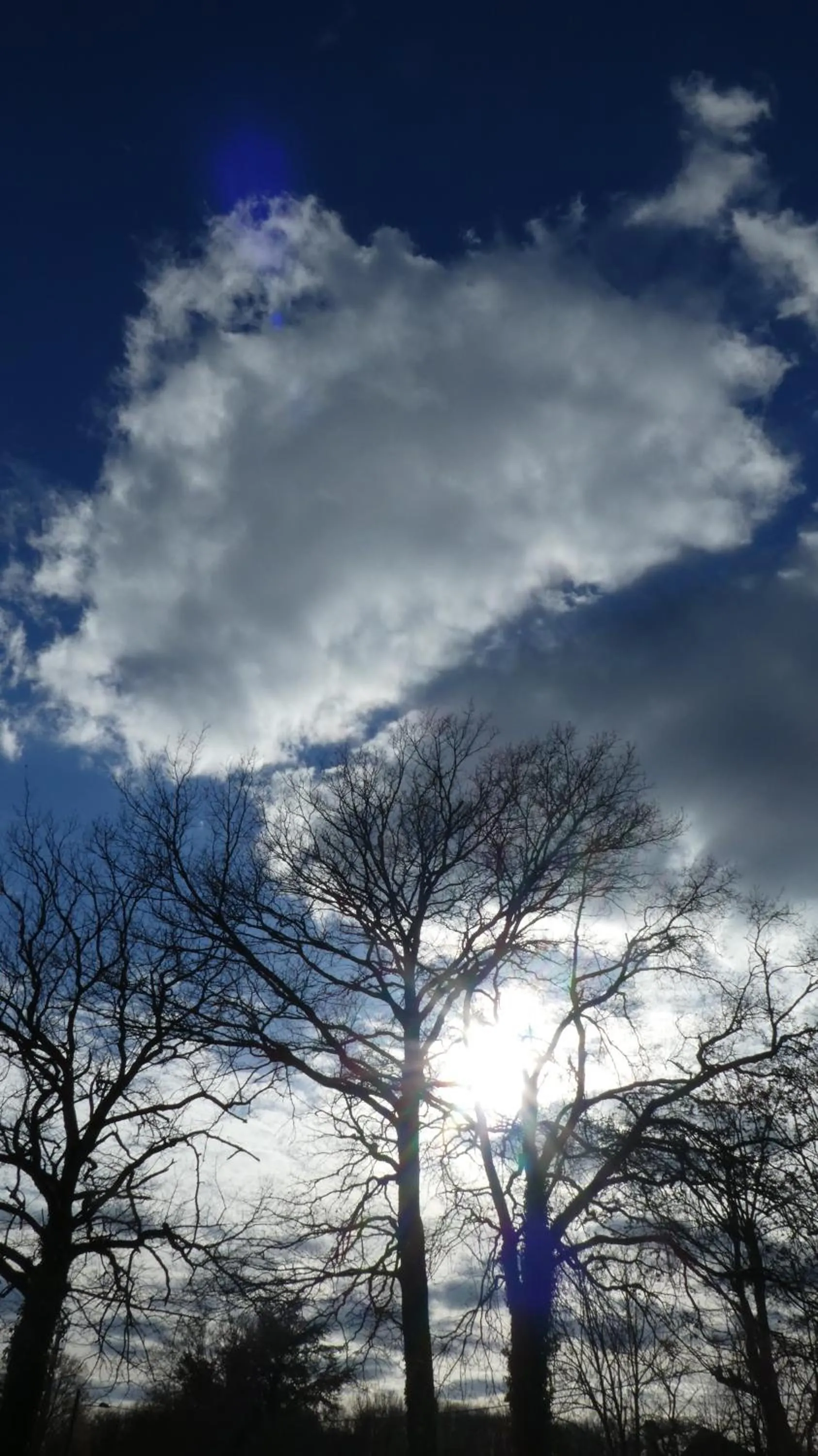 Natural landscape in Domaine de l'Ocrerie