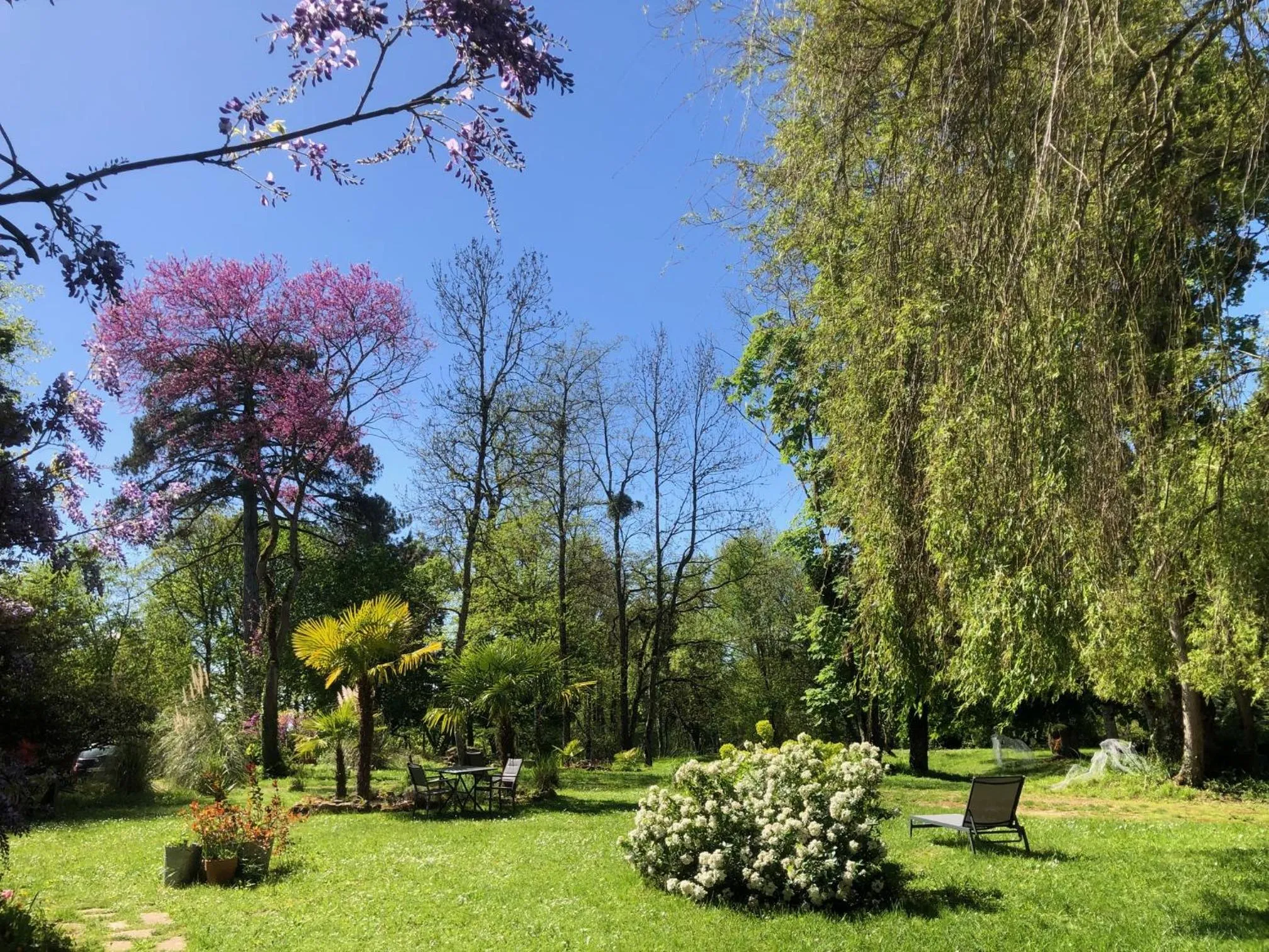Spring in Domaine de l'Ocrerie