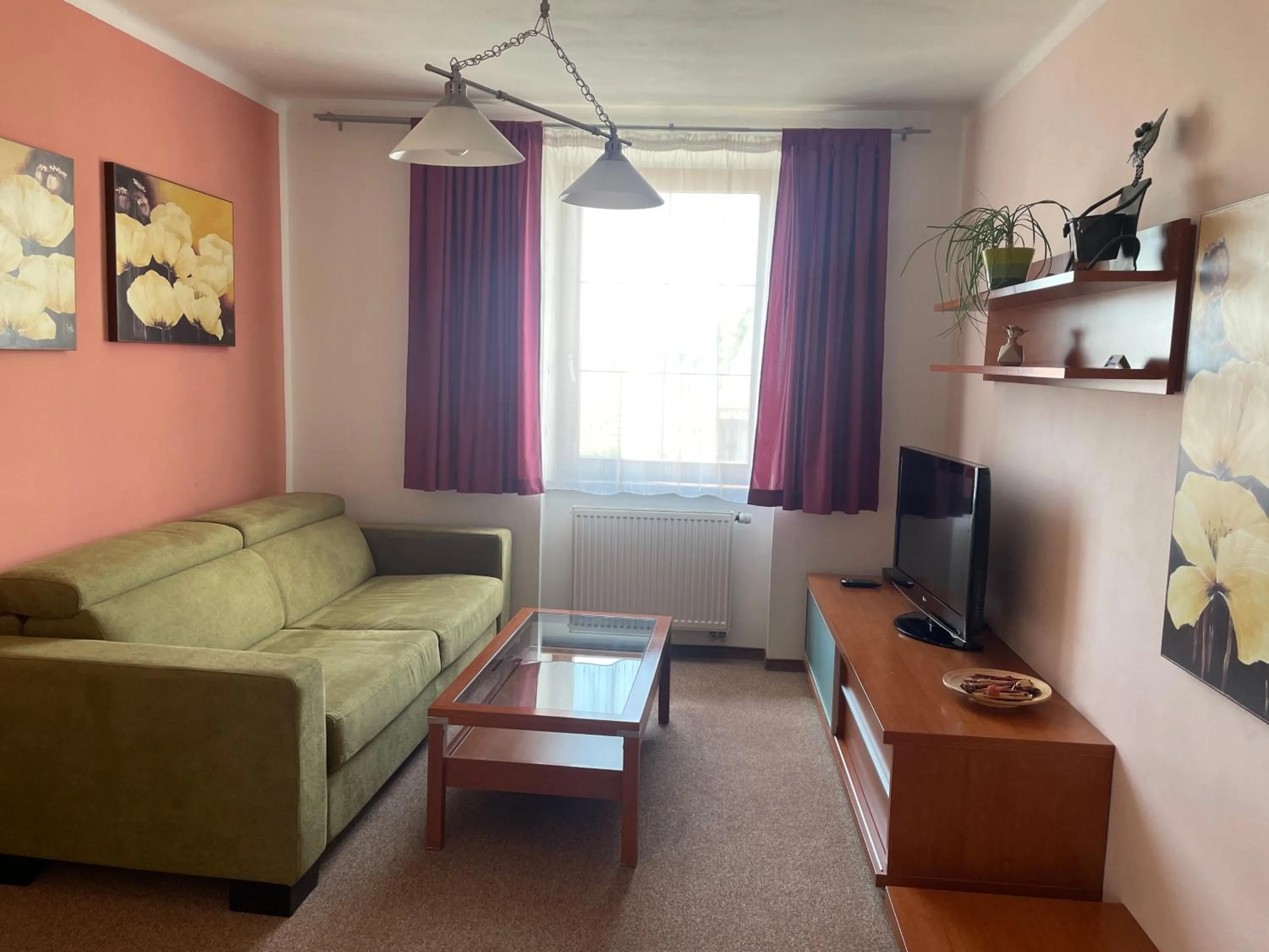 TV and multimedia in Hotel Ostrov Garni