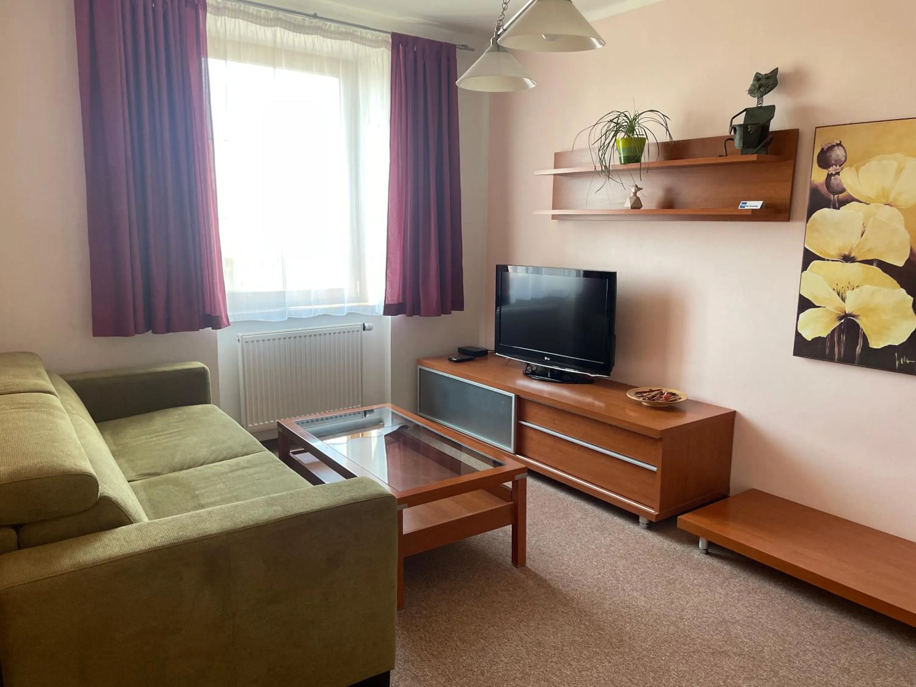 TV and multimedia in Hotel Ostrov Garni