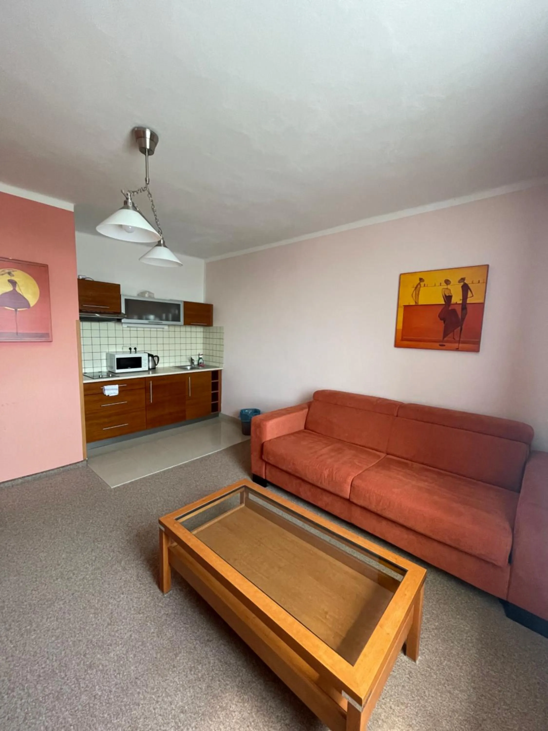 Kitchen or kitchenette in Hotel Ostrov Garni