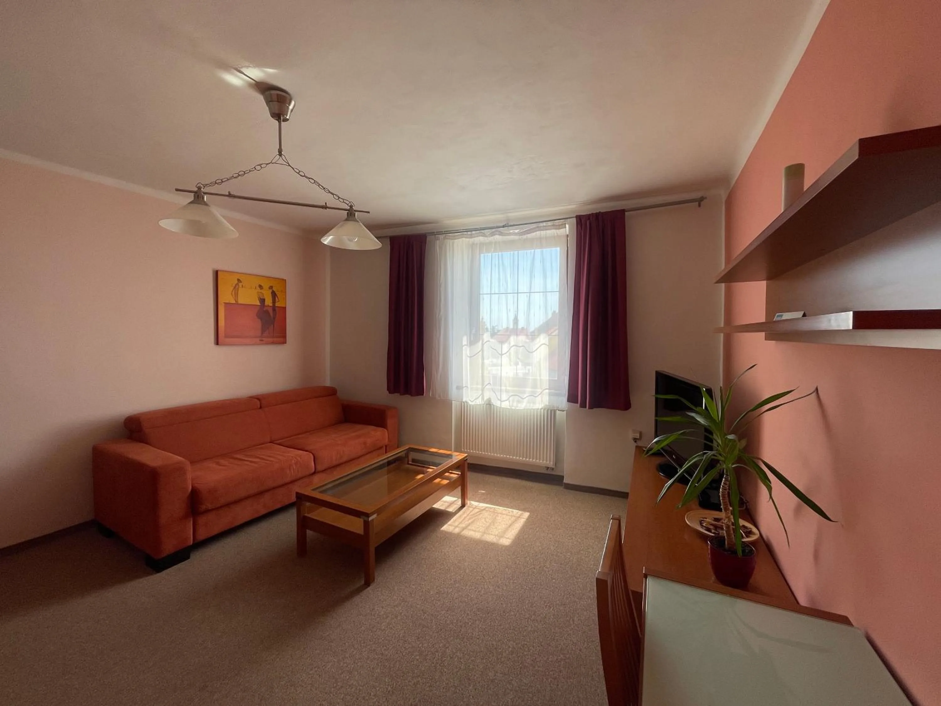 TV and multimedia in Hotel Ostrov Garni