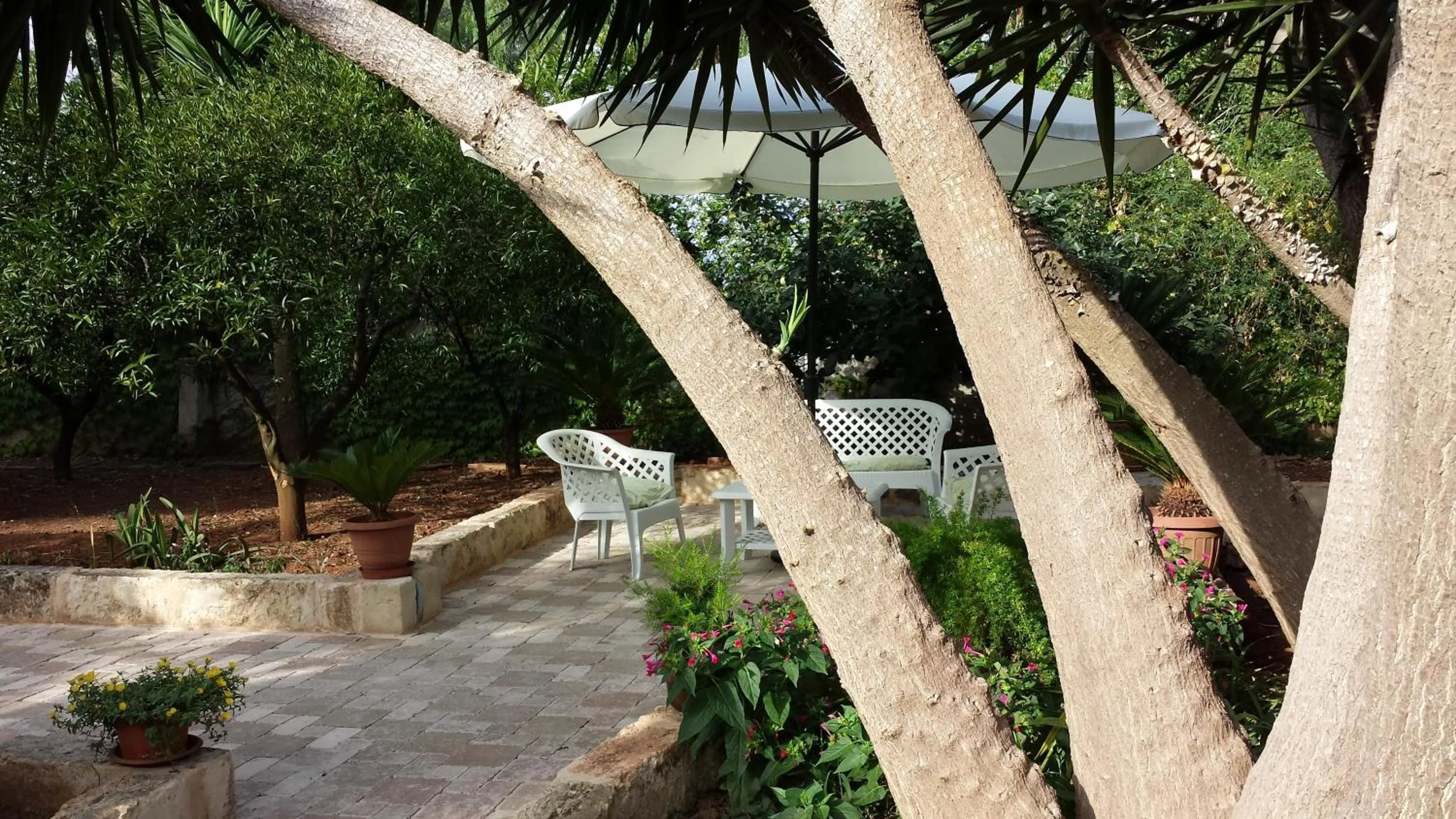 Garden in B&B Pittoresco