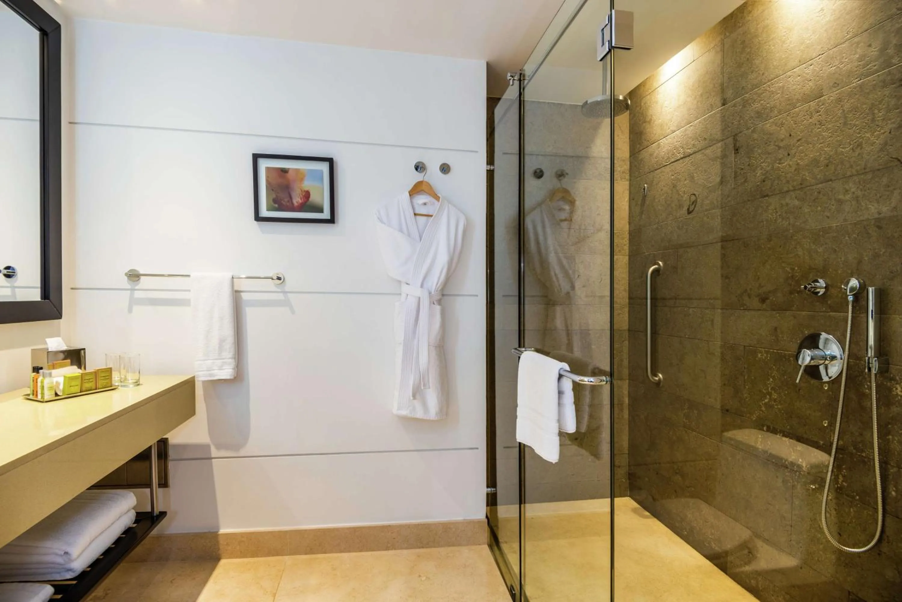 Toilet in Hilton Bogotá