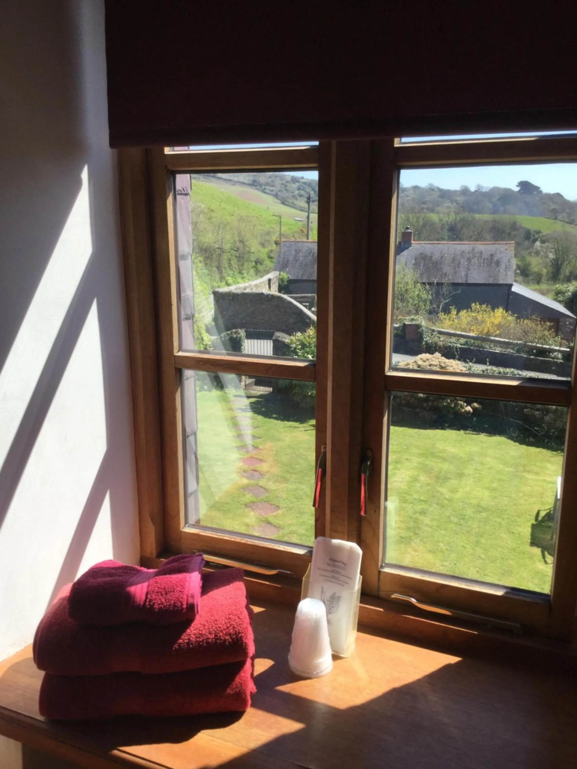 Garden view in Coombe House B&B