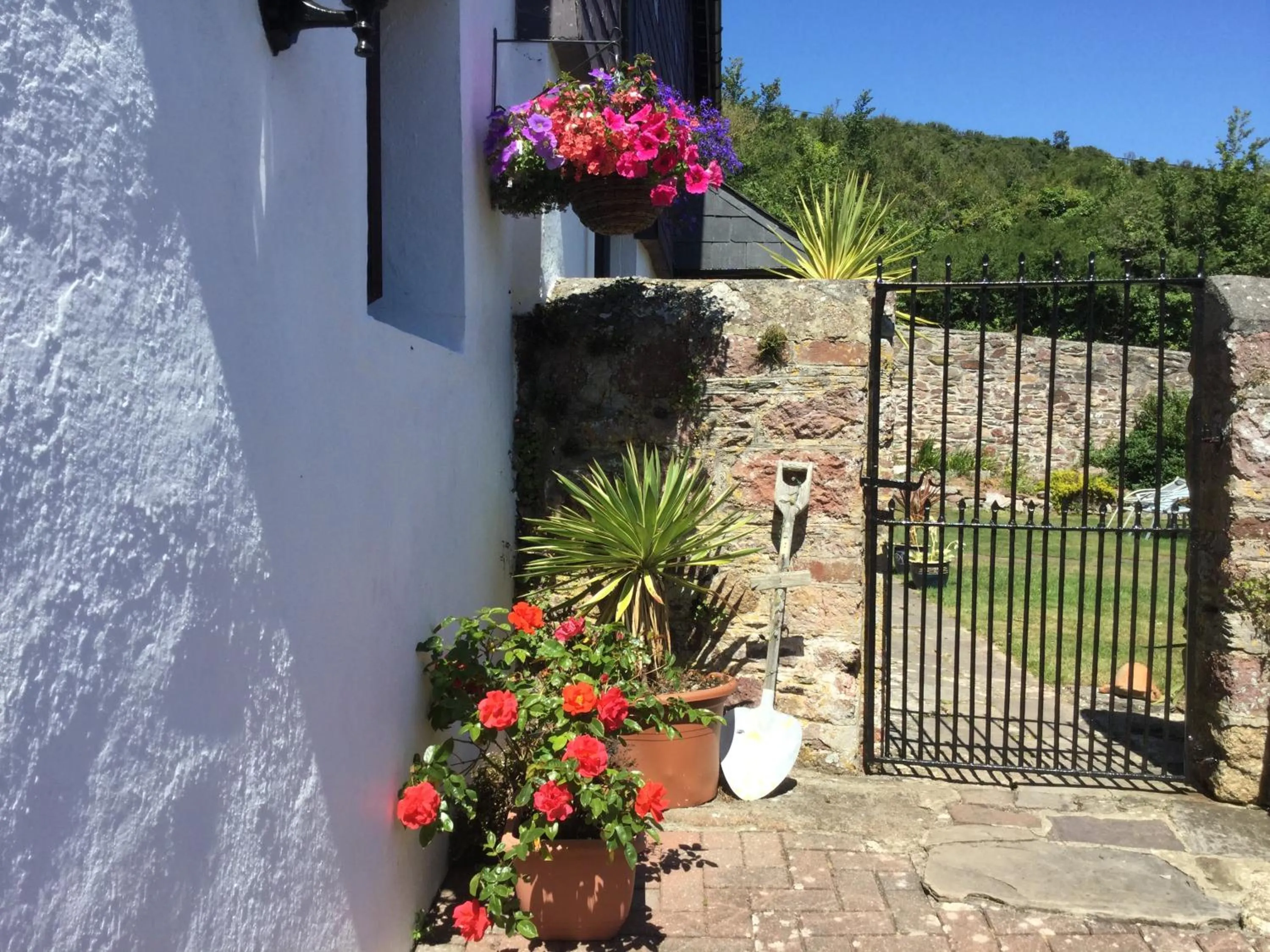 Garden in Coombe House B&B