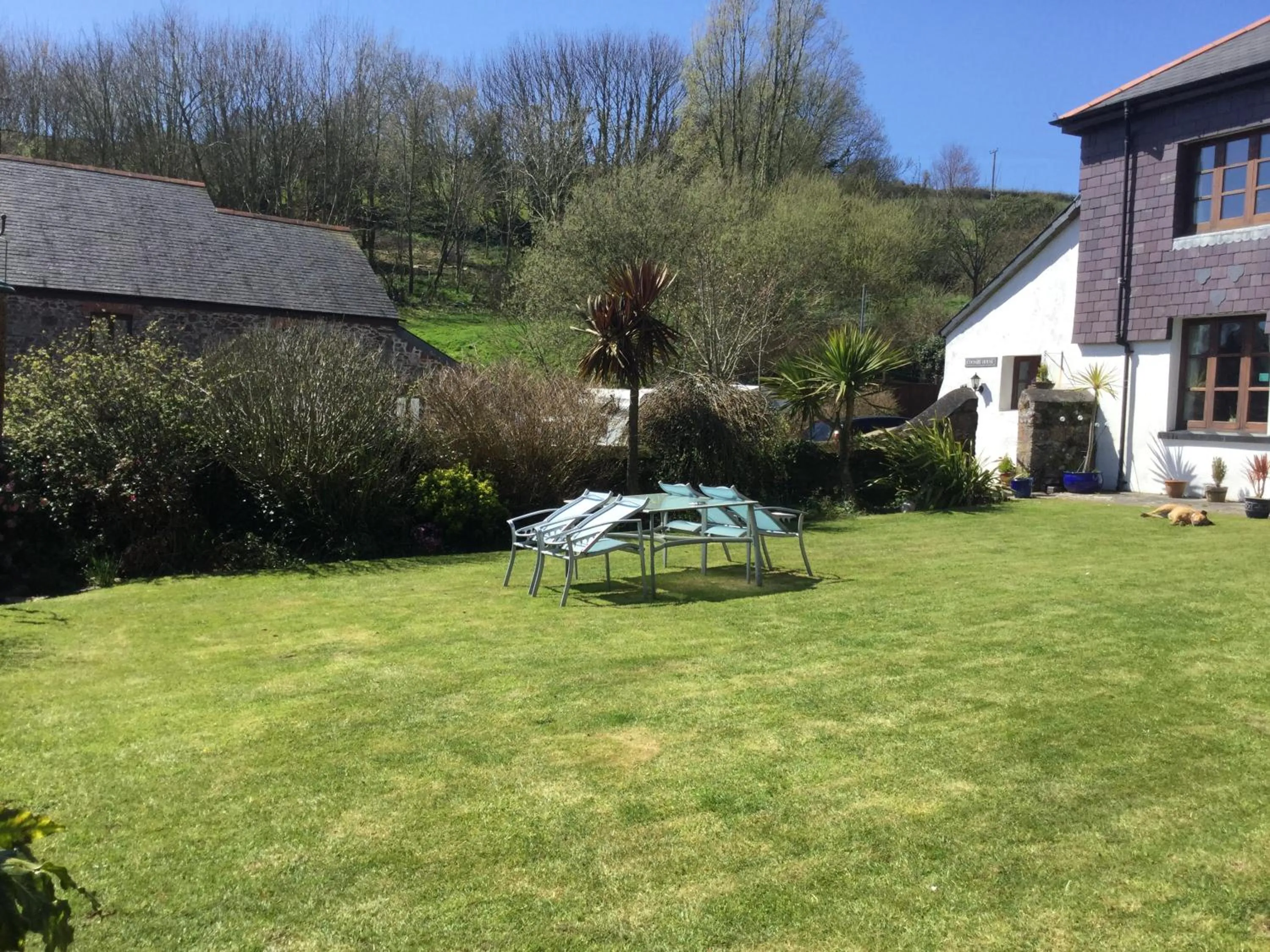 Garden in Coombe House B&B