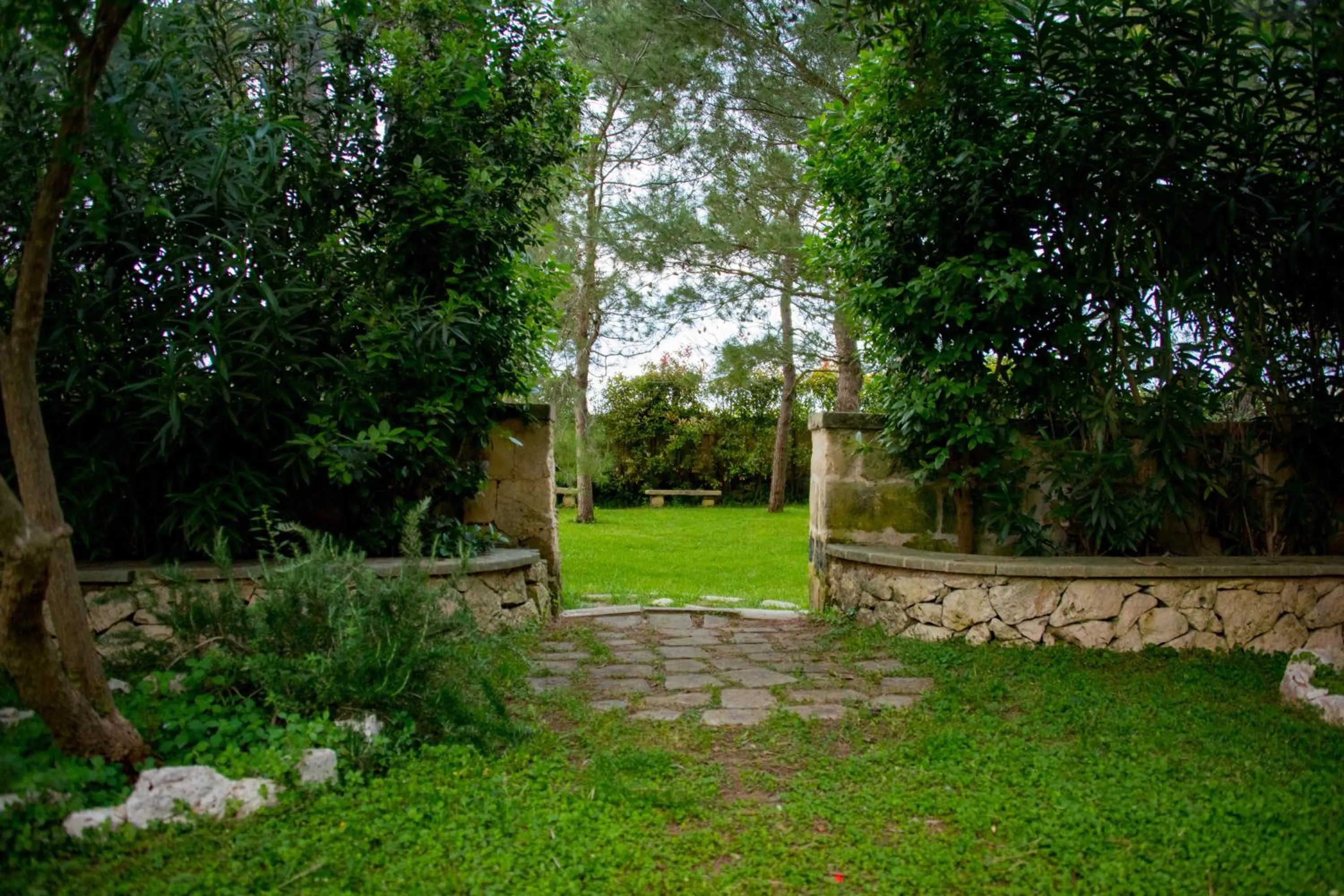Garden in Masseria Gattamora