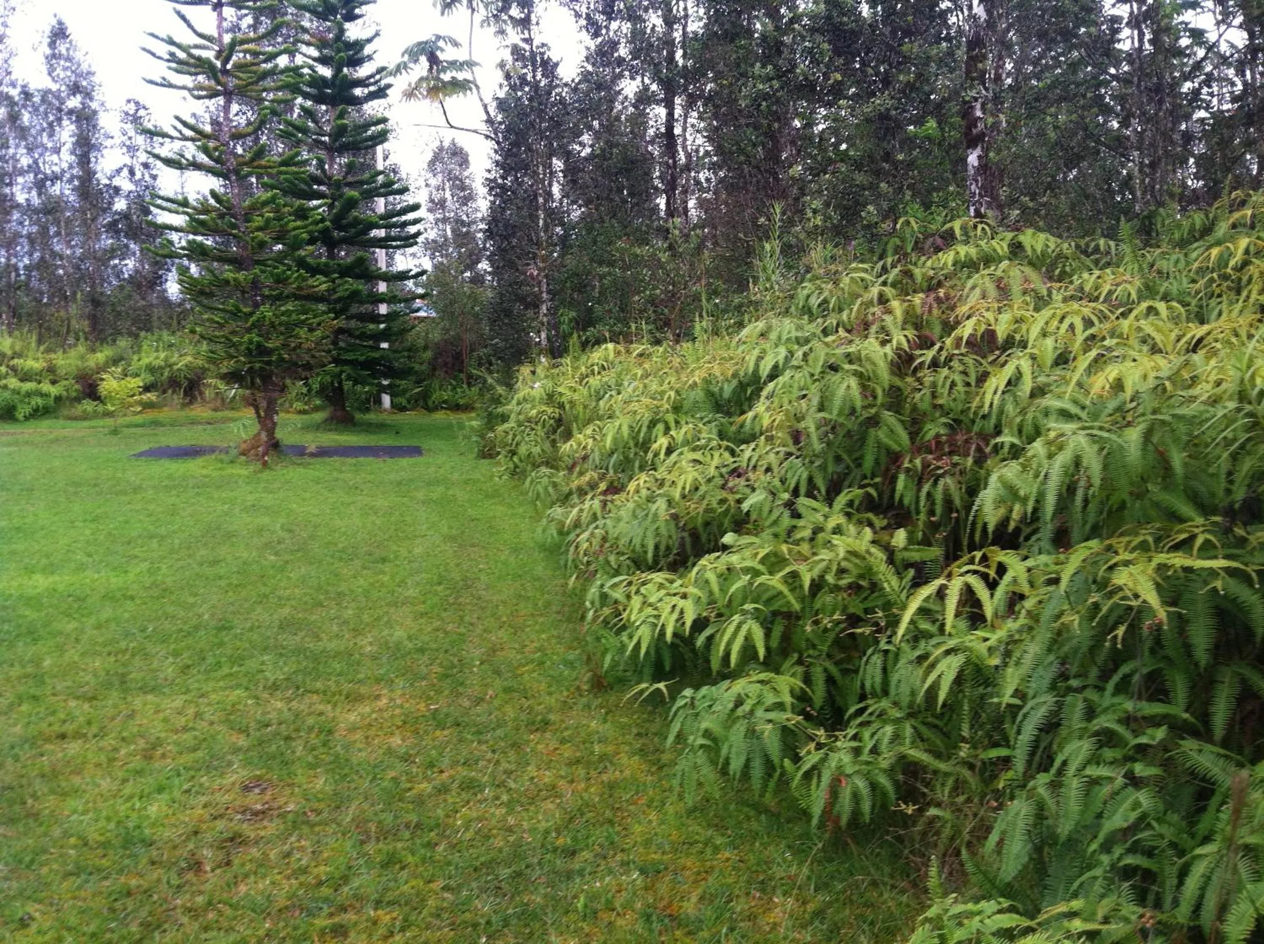 Hawaii Tropical Volcano mansion + Sauna