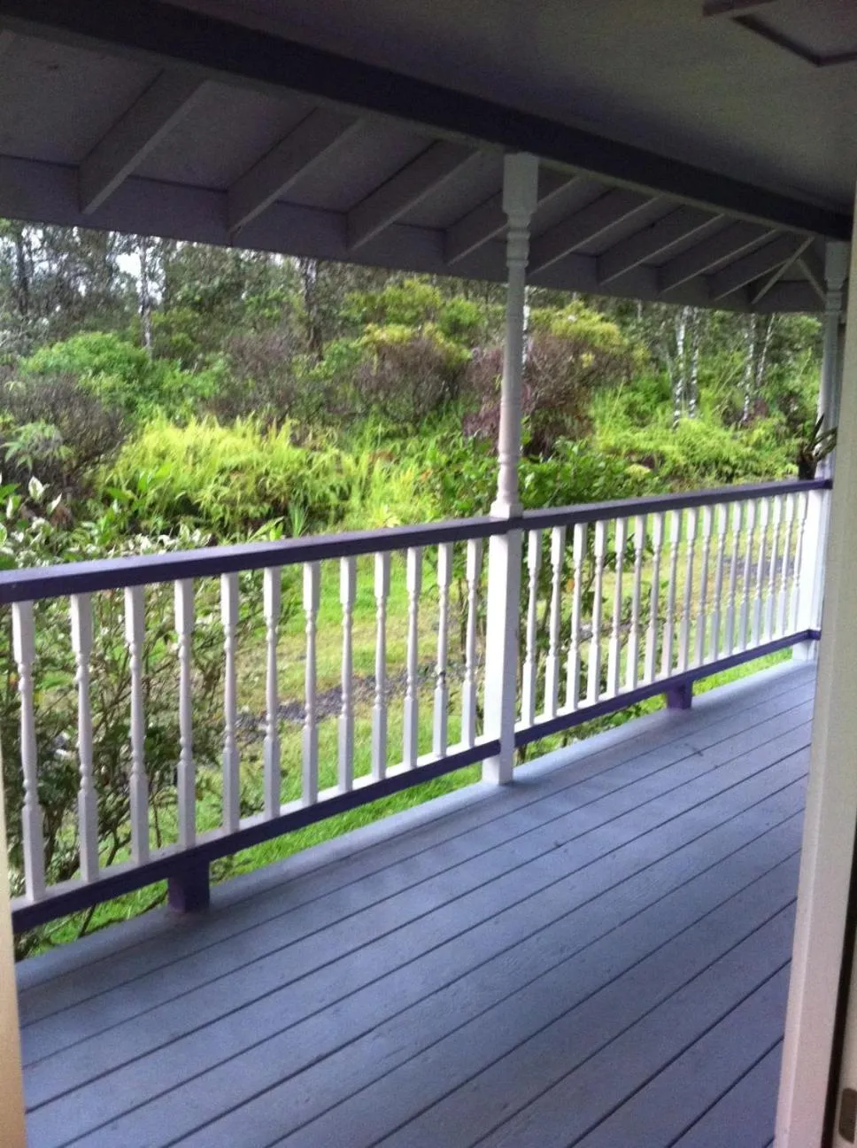 Hawaii Tropical Volcano mansion + Sauna
