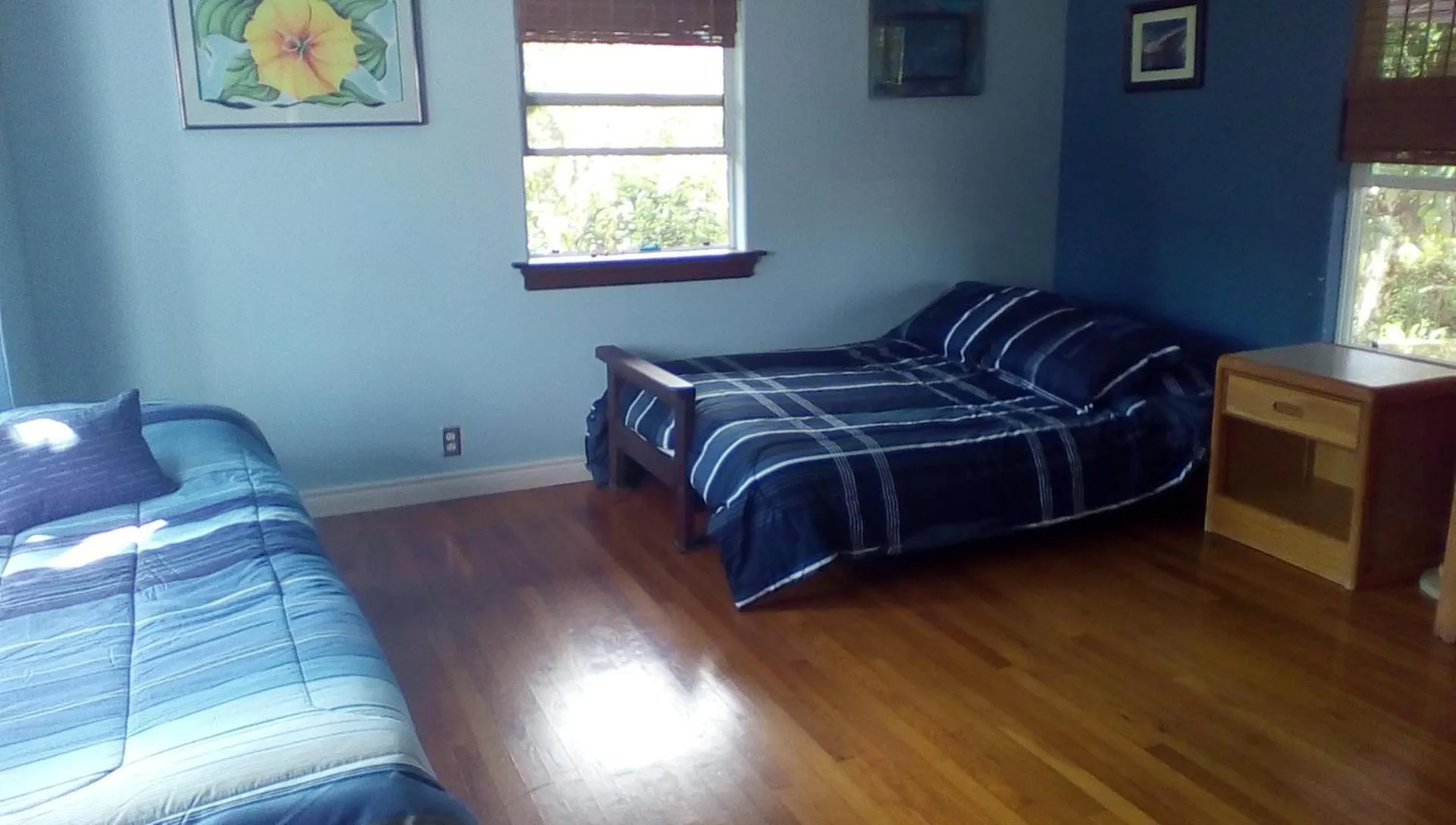 Hawaii Tropical Volcano mansion + Sauna