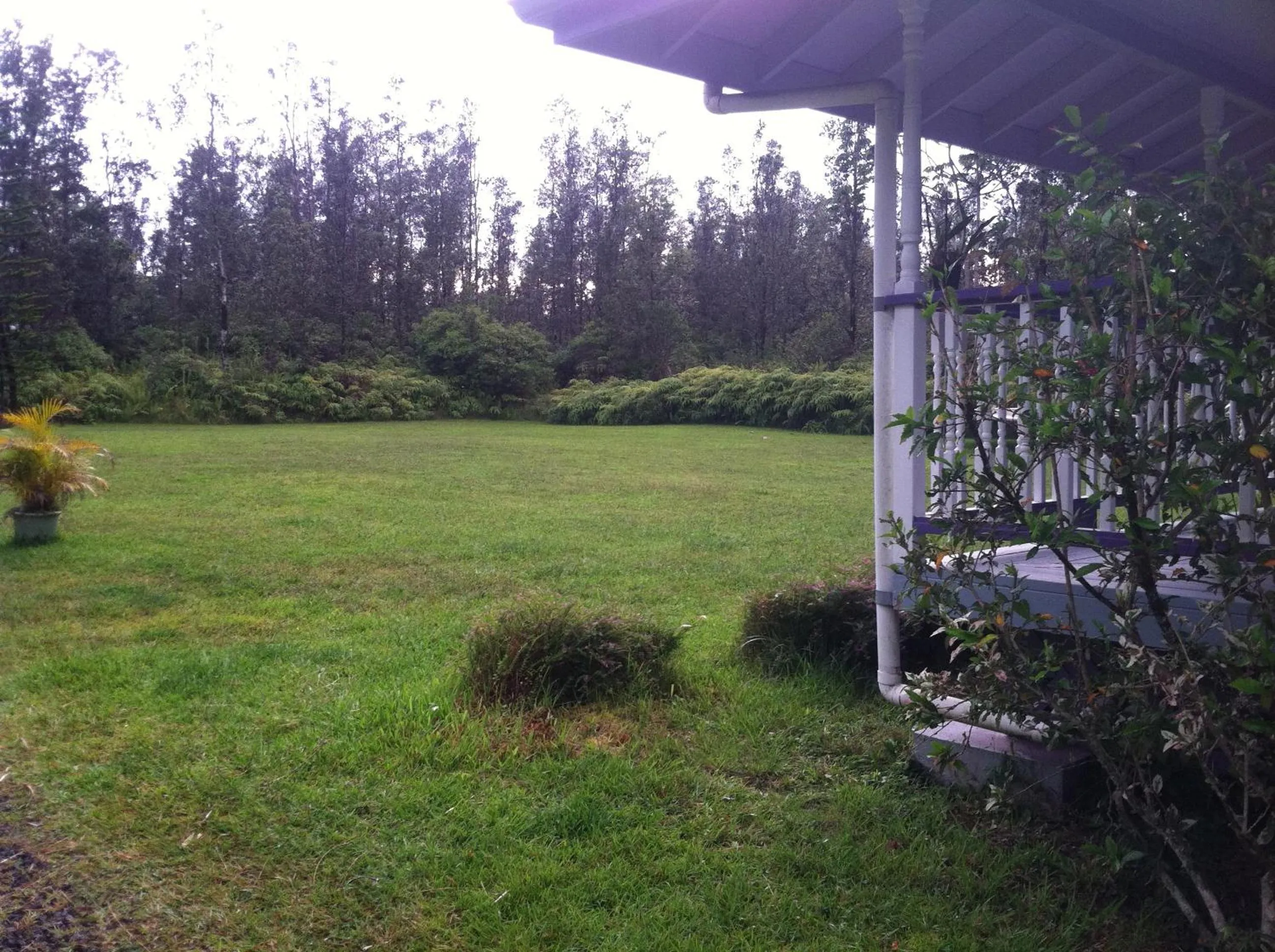 Hawaii Tropical Volcano mansion + Sauna