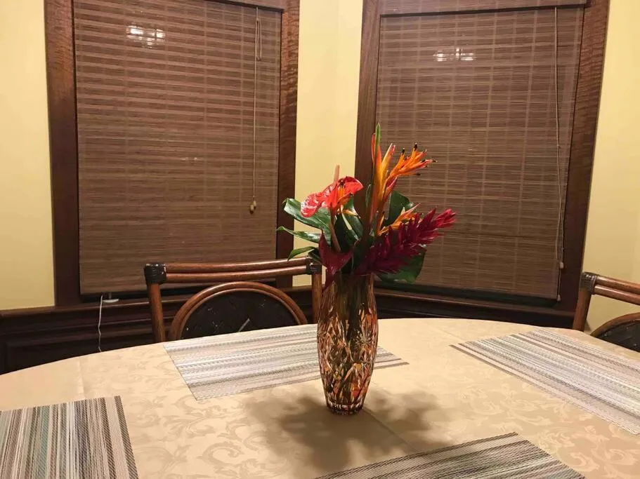 Hawaii Tropical Volcano mansion + Sauna