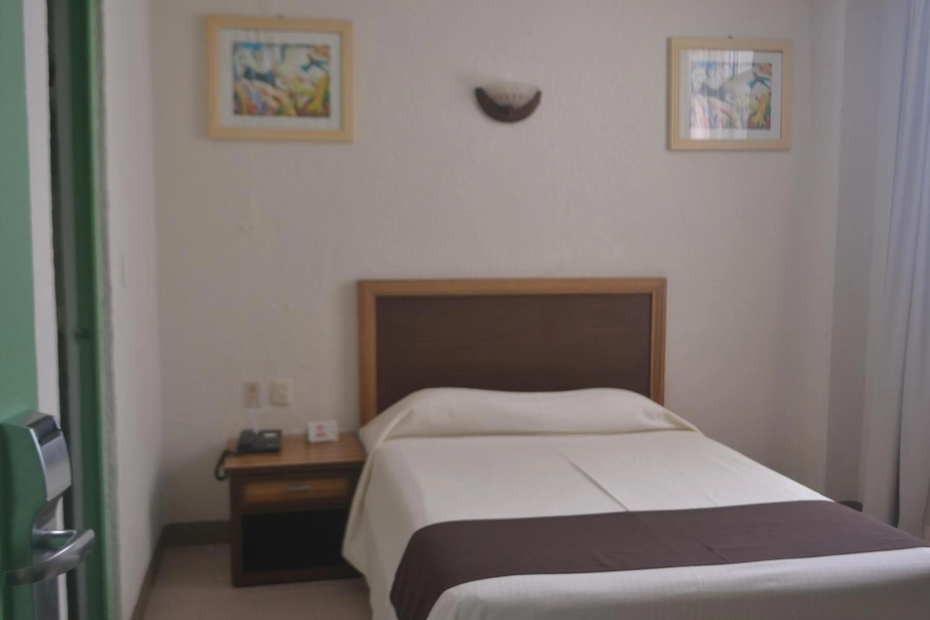 Double Room with One Double Bed in Hotel Plaza Independencia