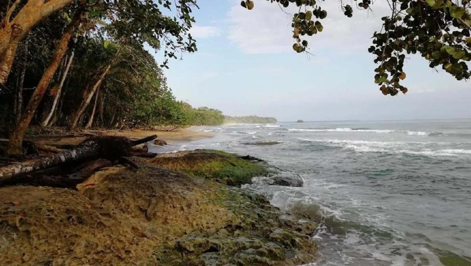 Beach in Villas del Caribe