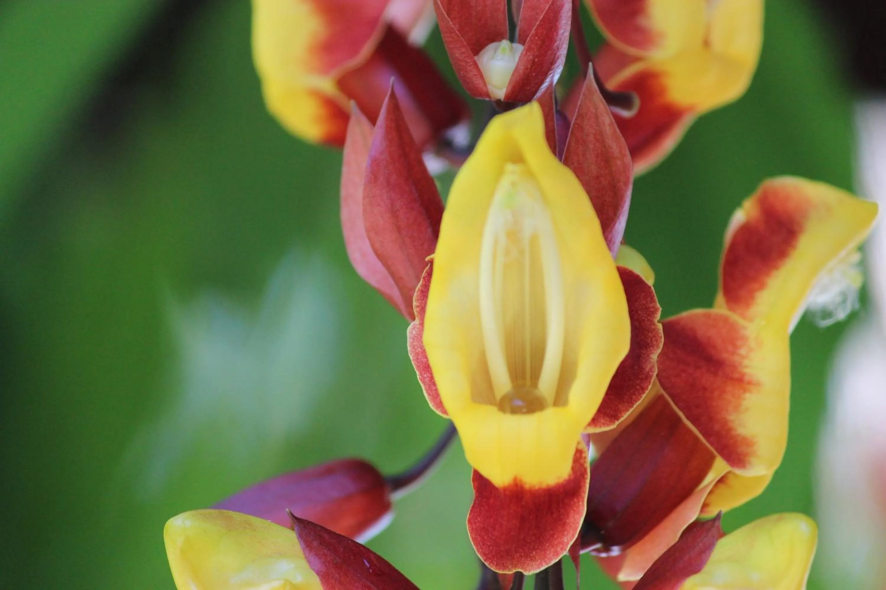 Other in Pousada Canto Verde