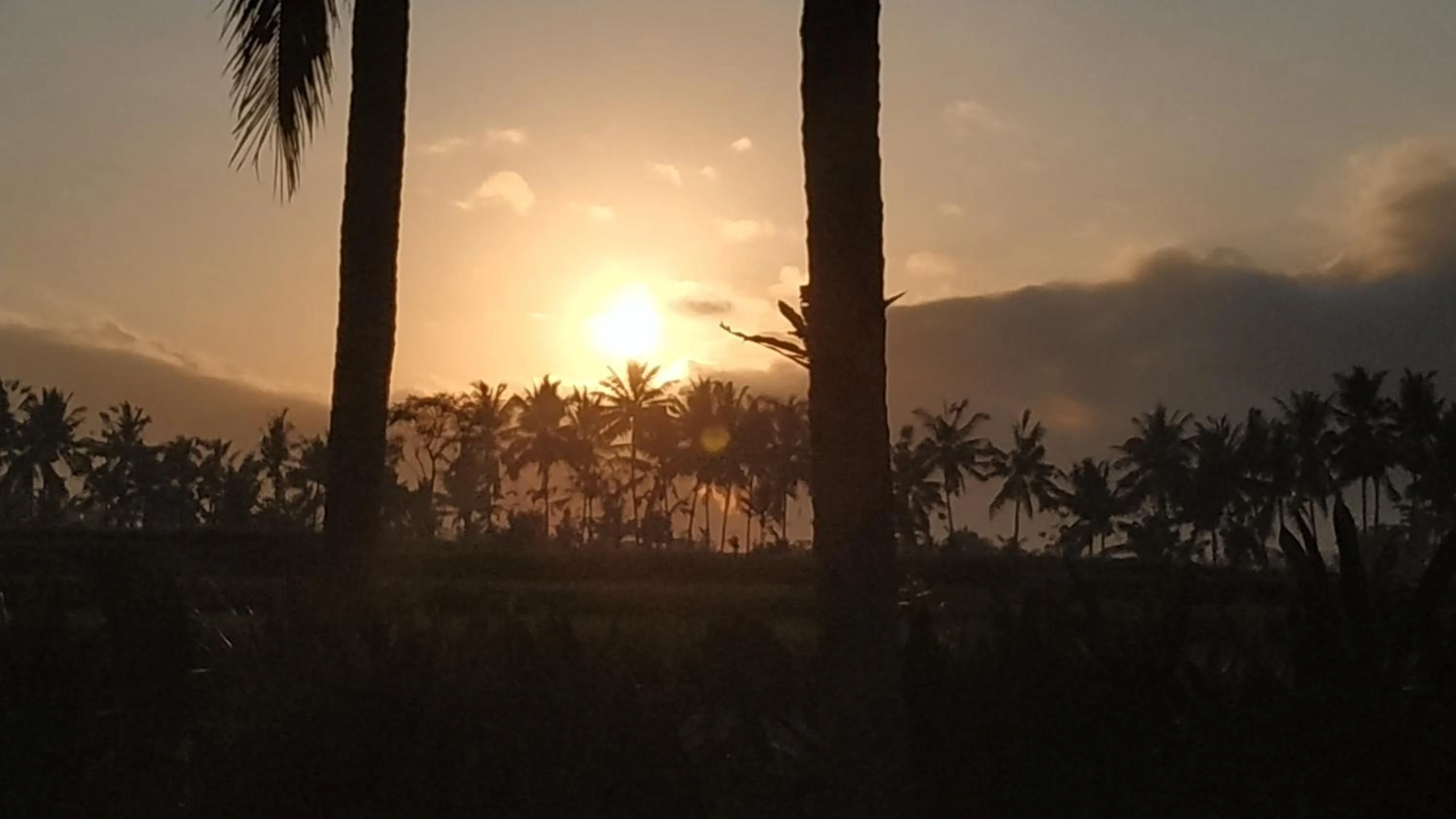 Natural landscape in Anggira Villa Ubud