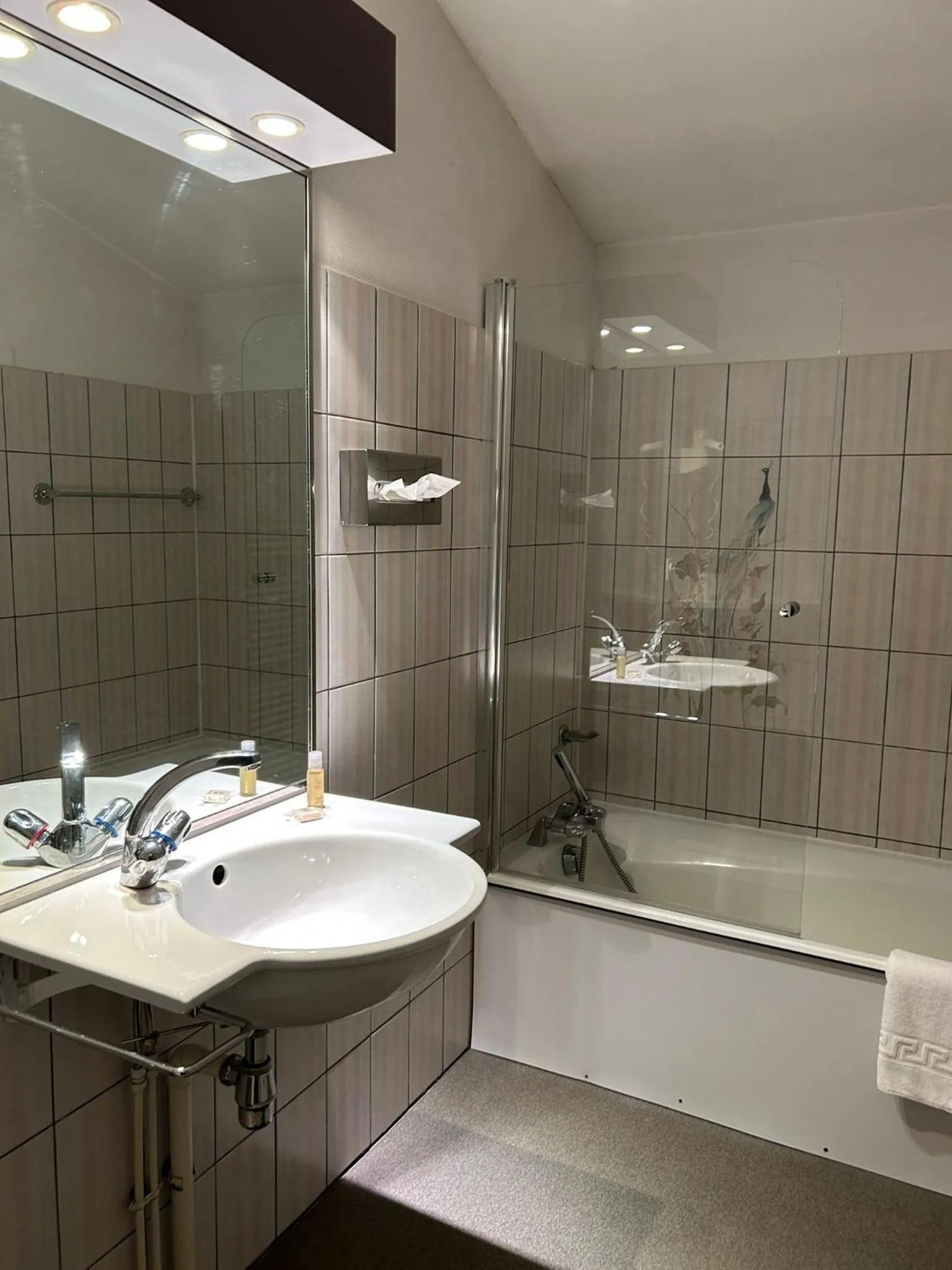 Shower in Hôtel Arbois Bettex