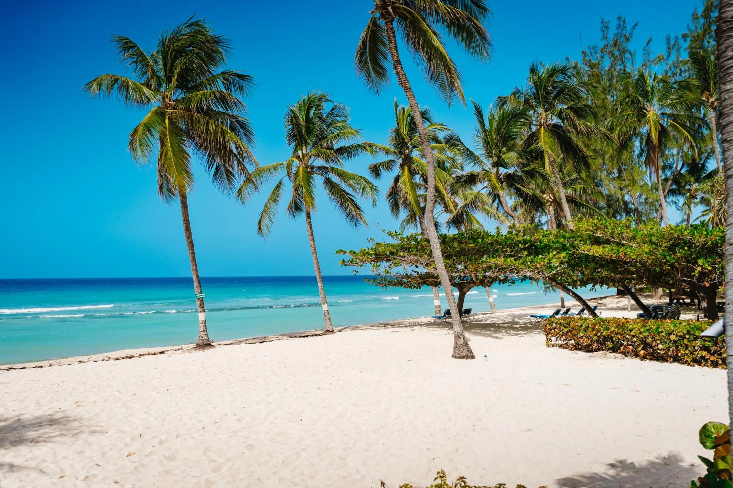 Day in Coconut Court Beach Hotel