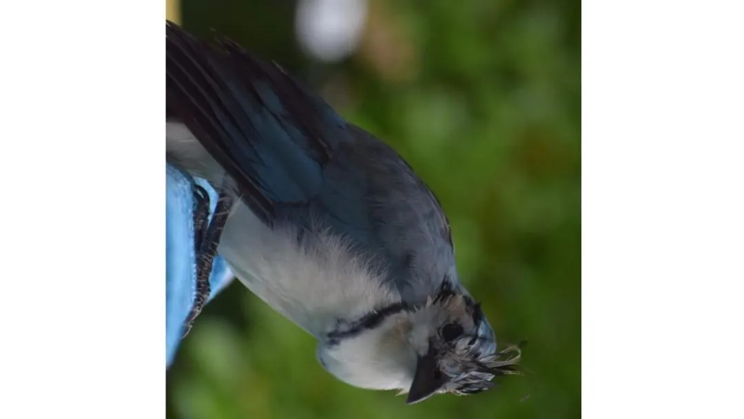 Natural landscape in Samara Beach Hotel
