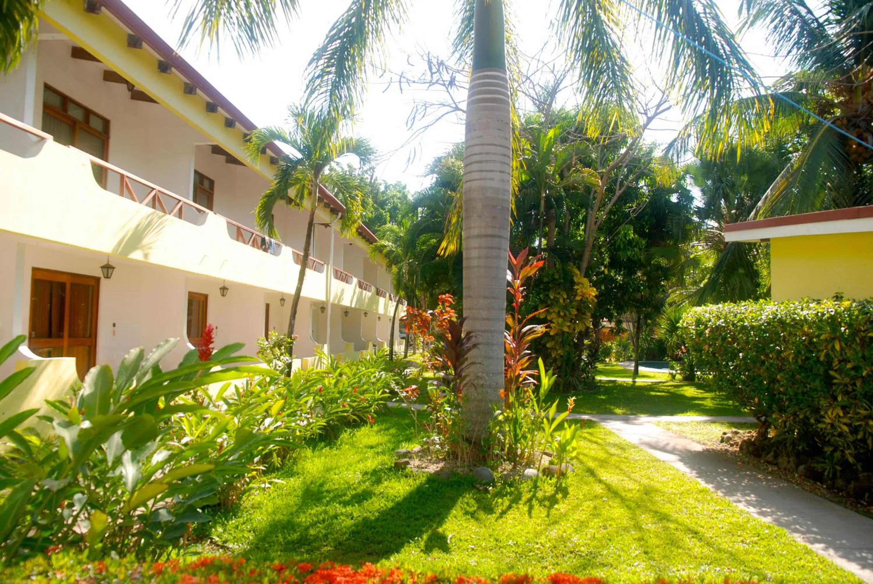 Bird's eye view in Samara Beach Hotel