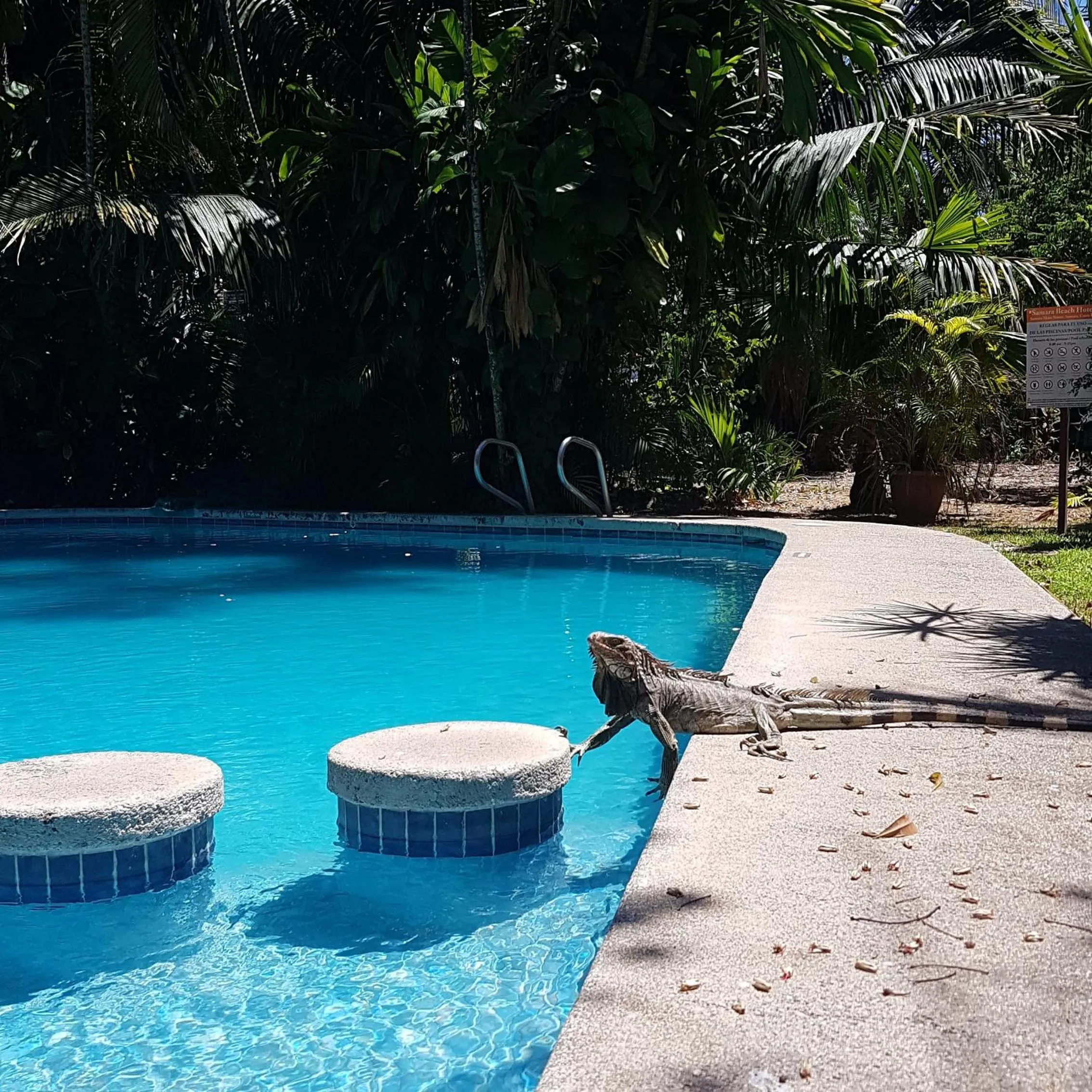 Swimming pool in Samara Beach Hotel