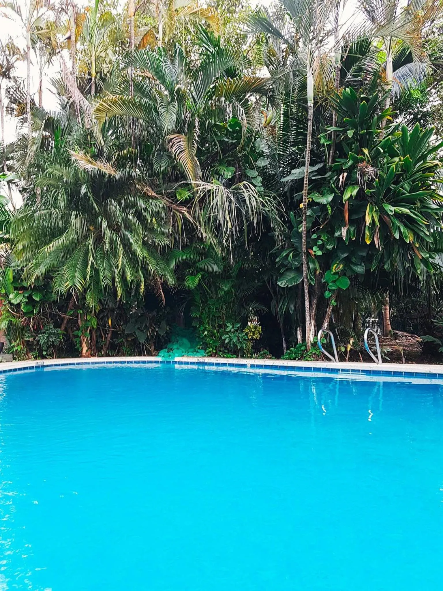 Pool view in Samara Beach Hotel