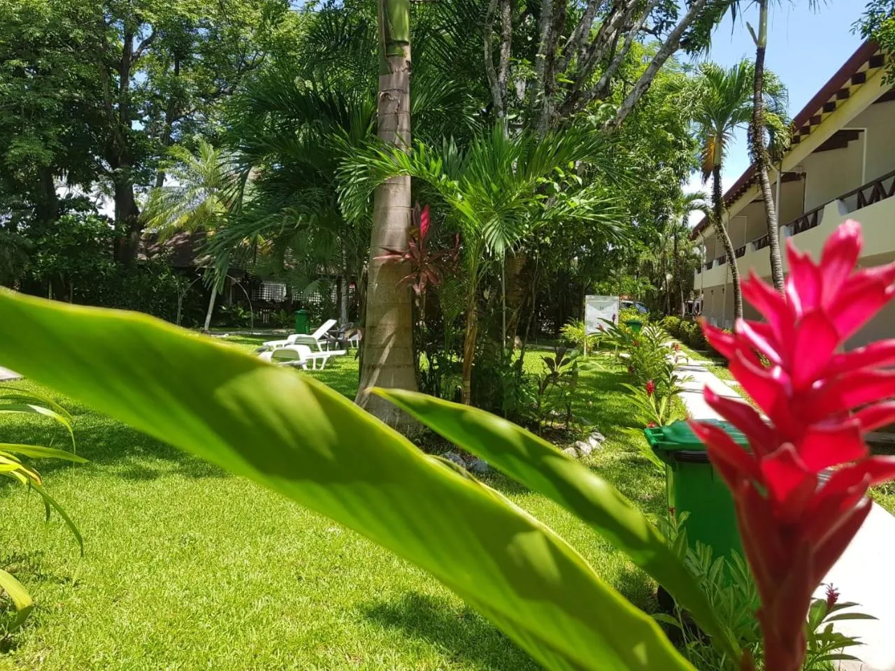 Garden in Samara Beach Hotel