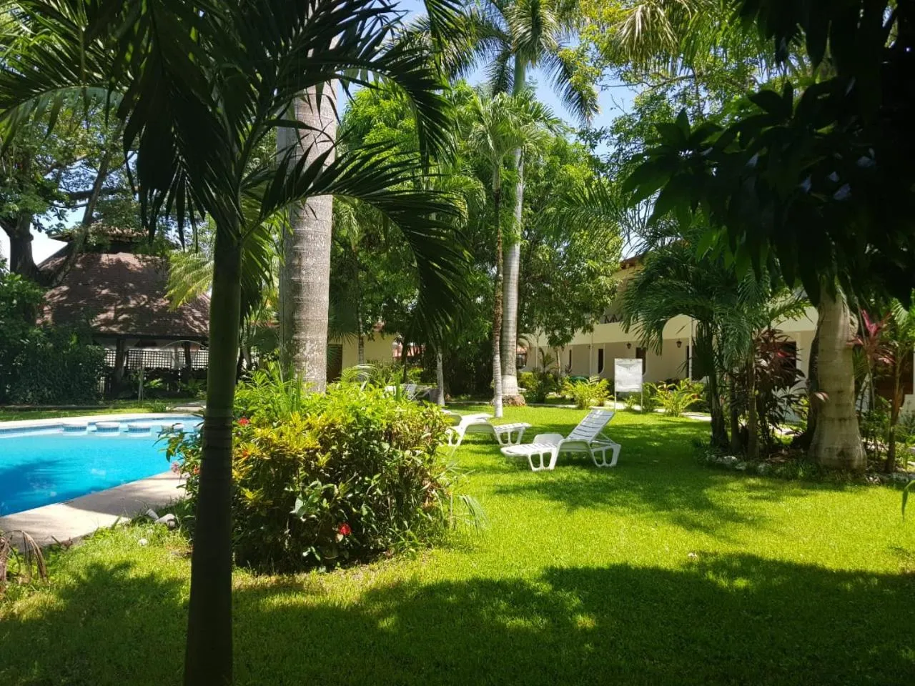 Garden in Samara Beach Hotel