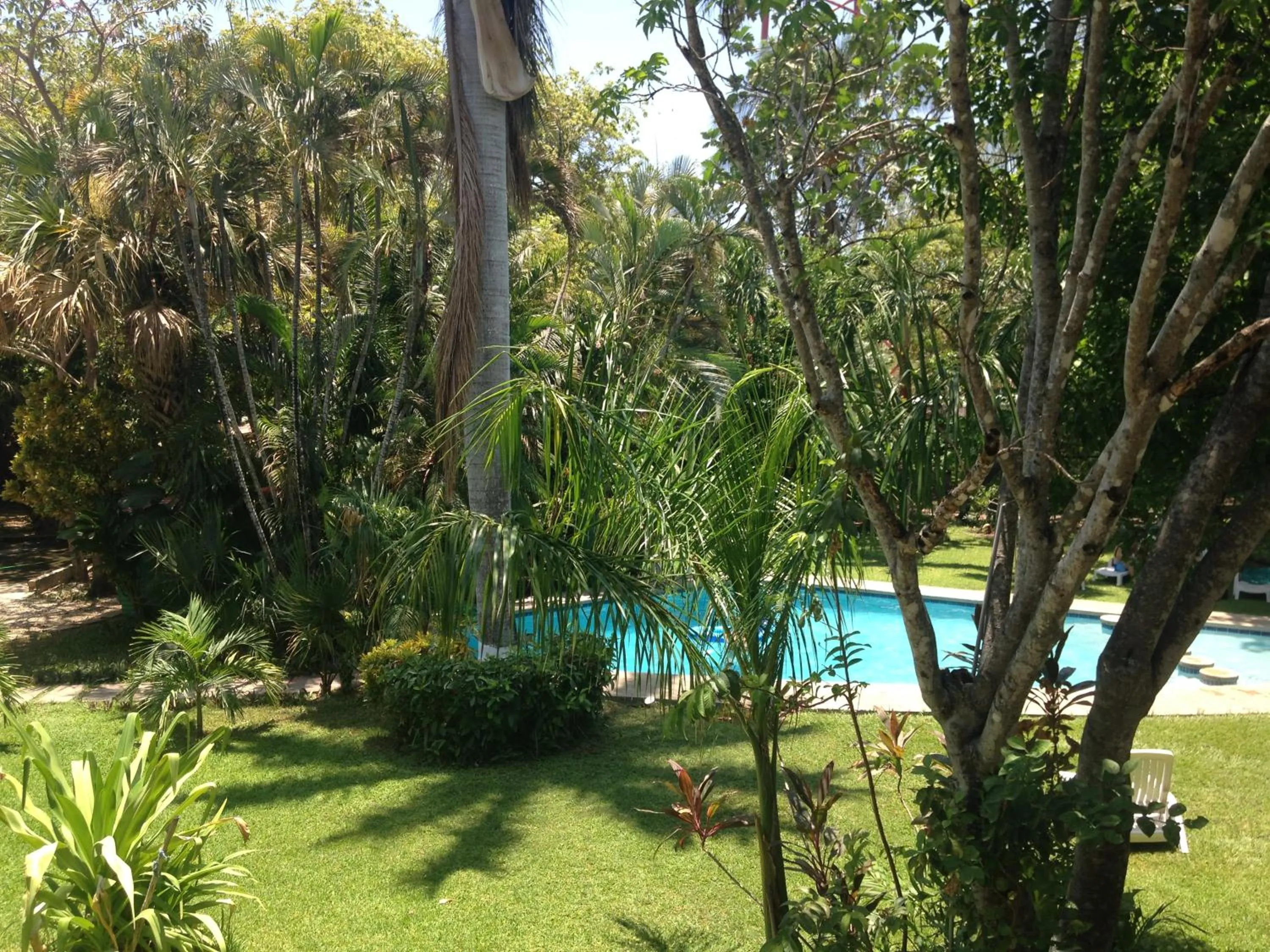 Garden in Samara Beach Hotel