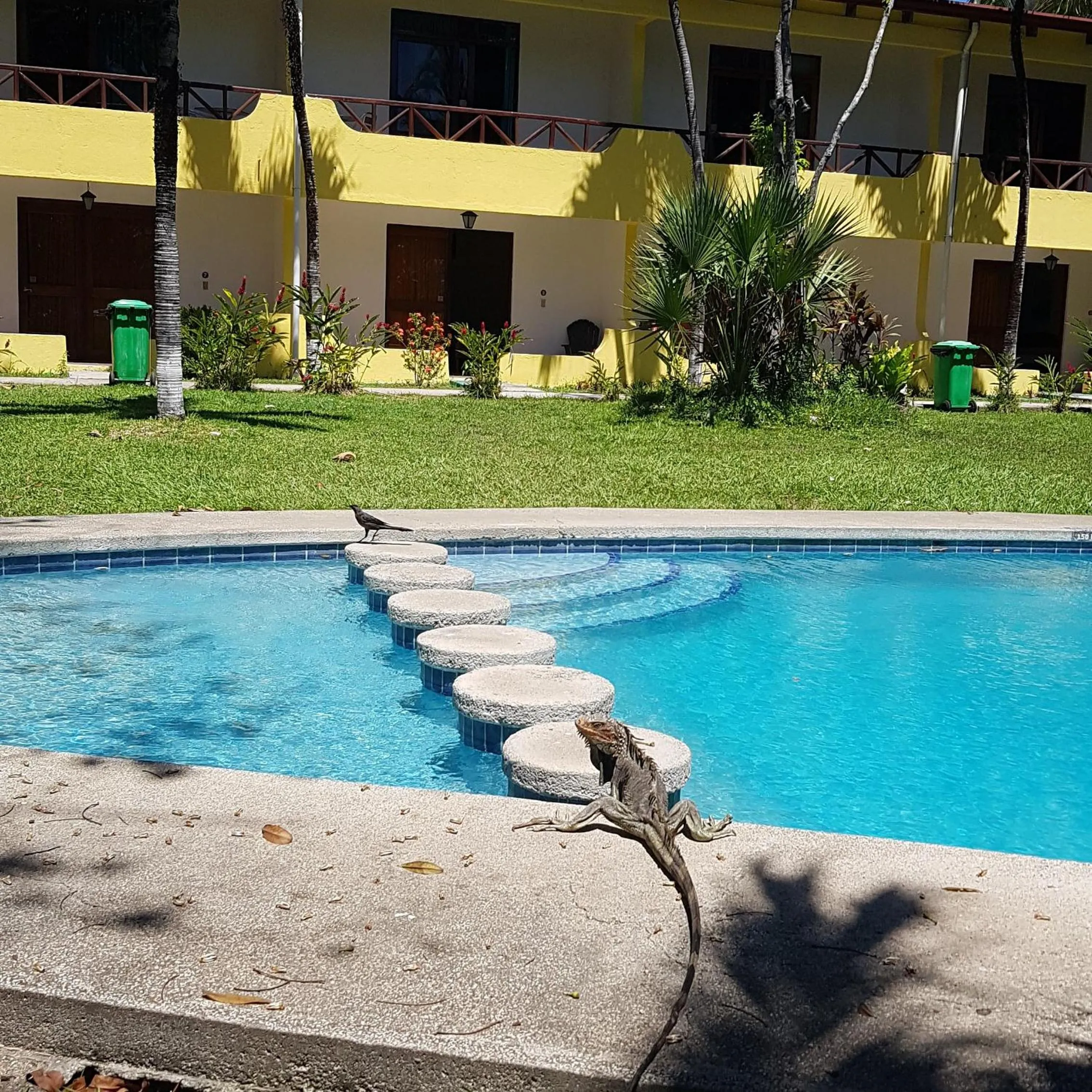 Swimming pool in Samara Beach Hotel