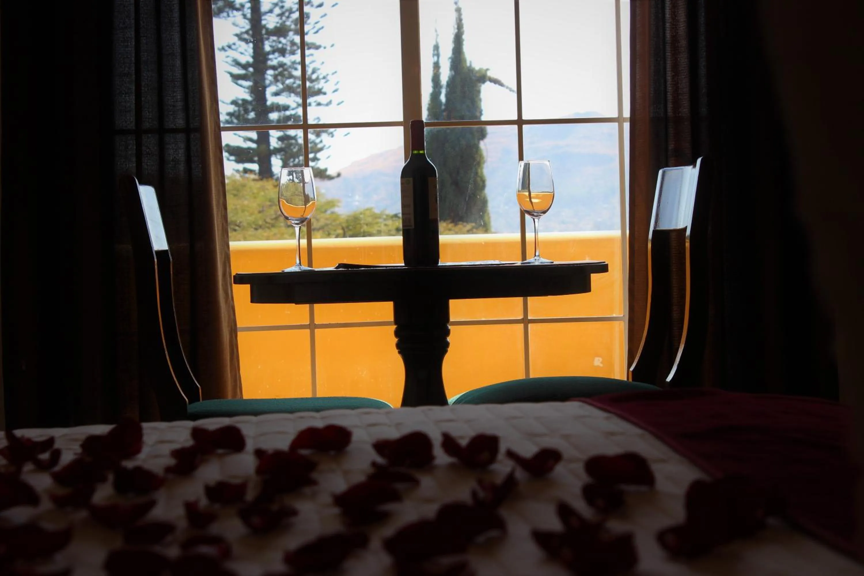 Decorative detail in Hotel Antiguo Fortin