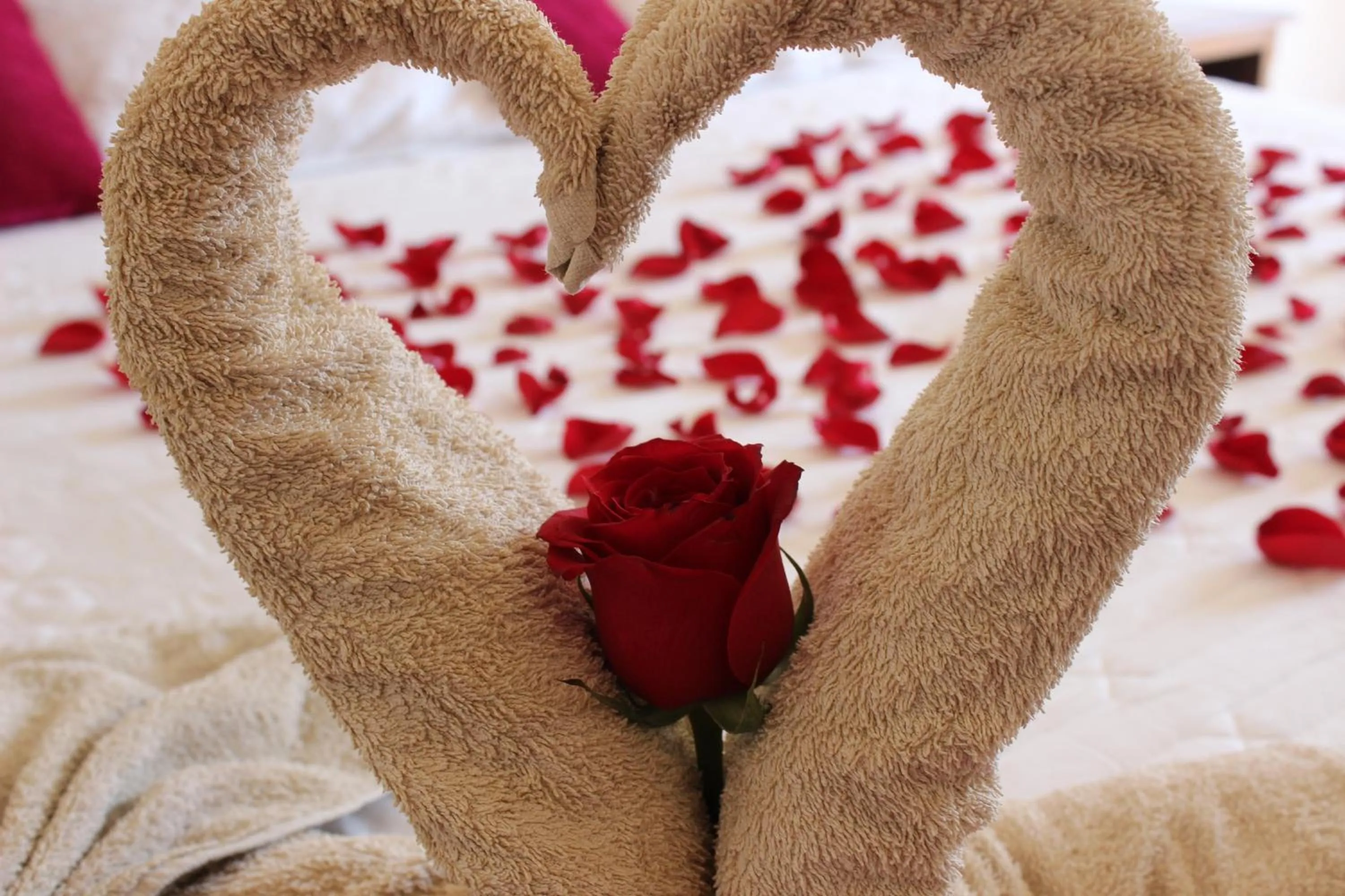 Decorative detail, Bed in Hotel Antiguo Fortin