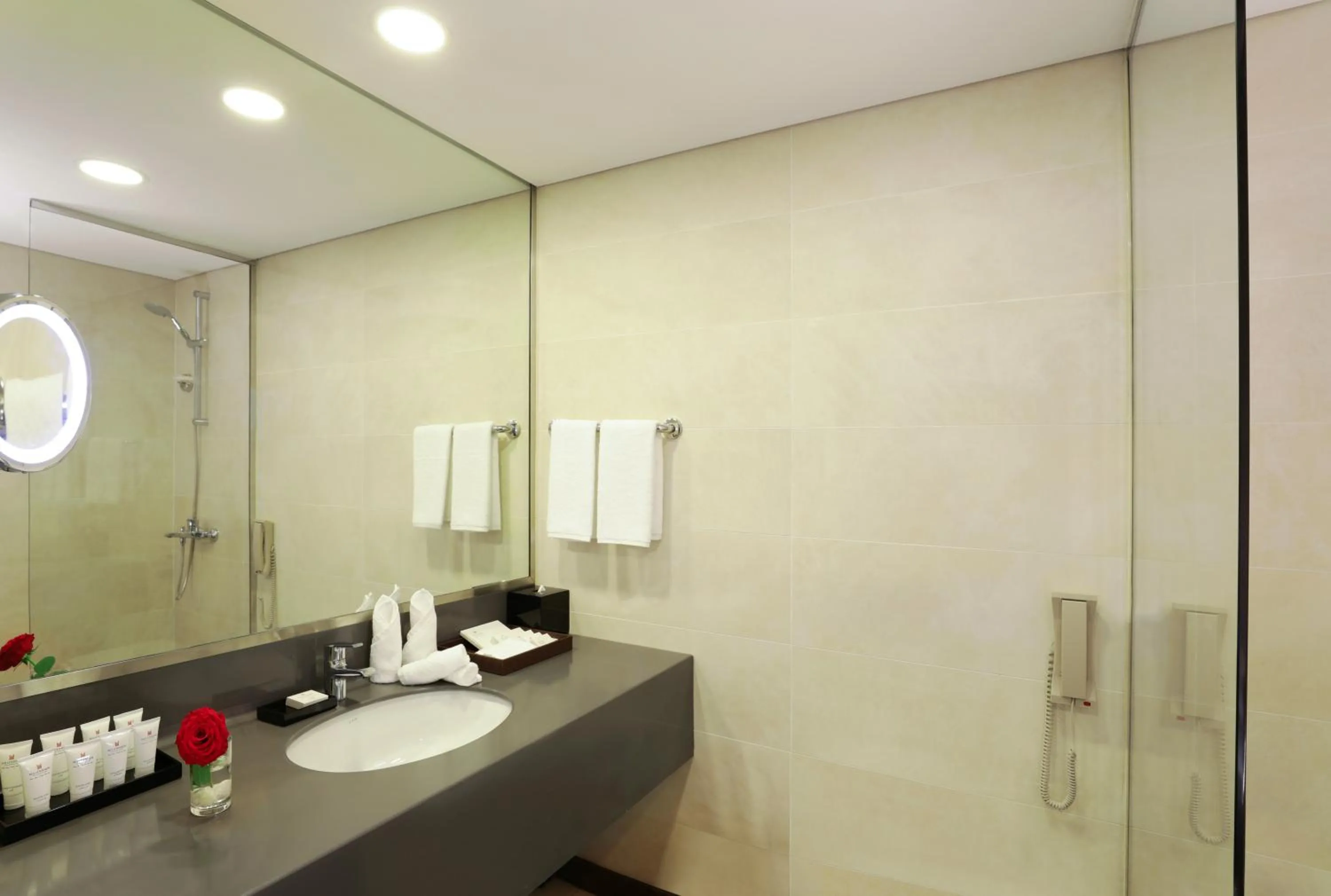 Bathroom in Millennium Madinah Airport