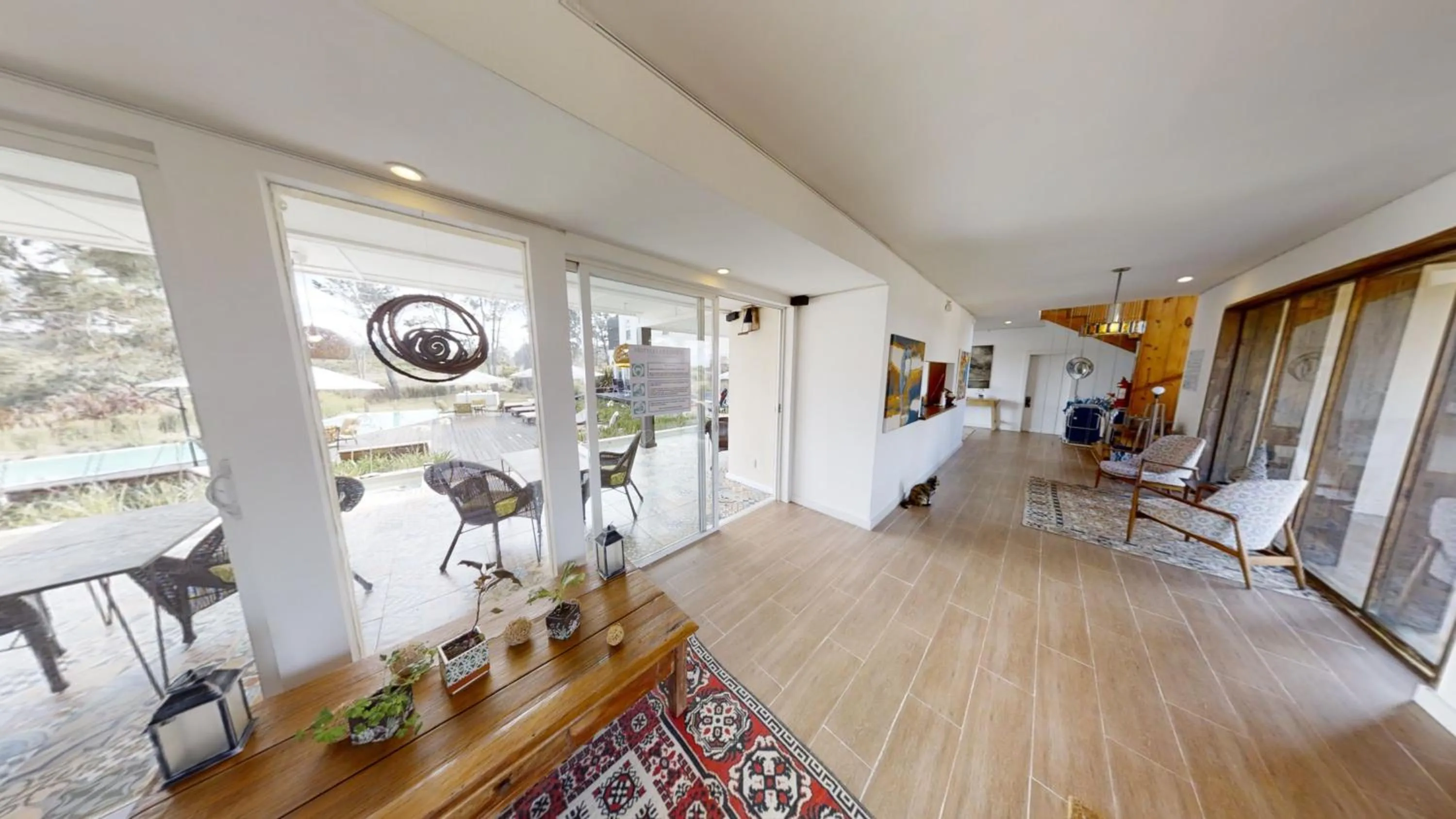 La Viuda de José Ignacio