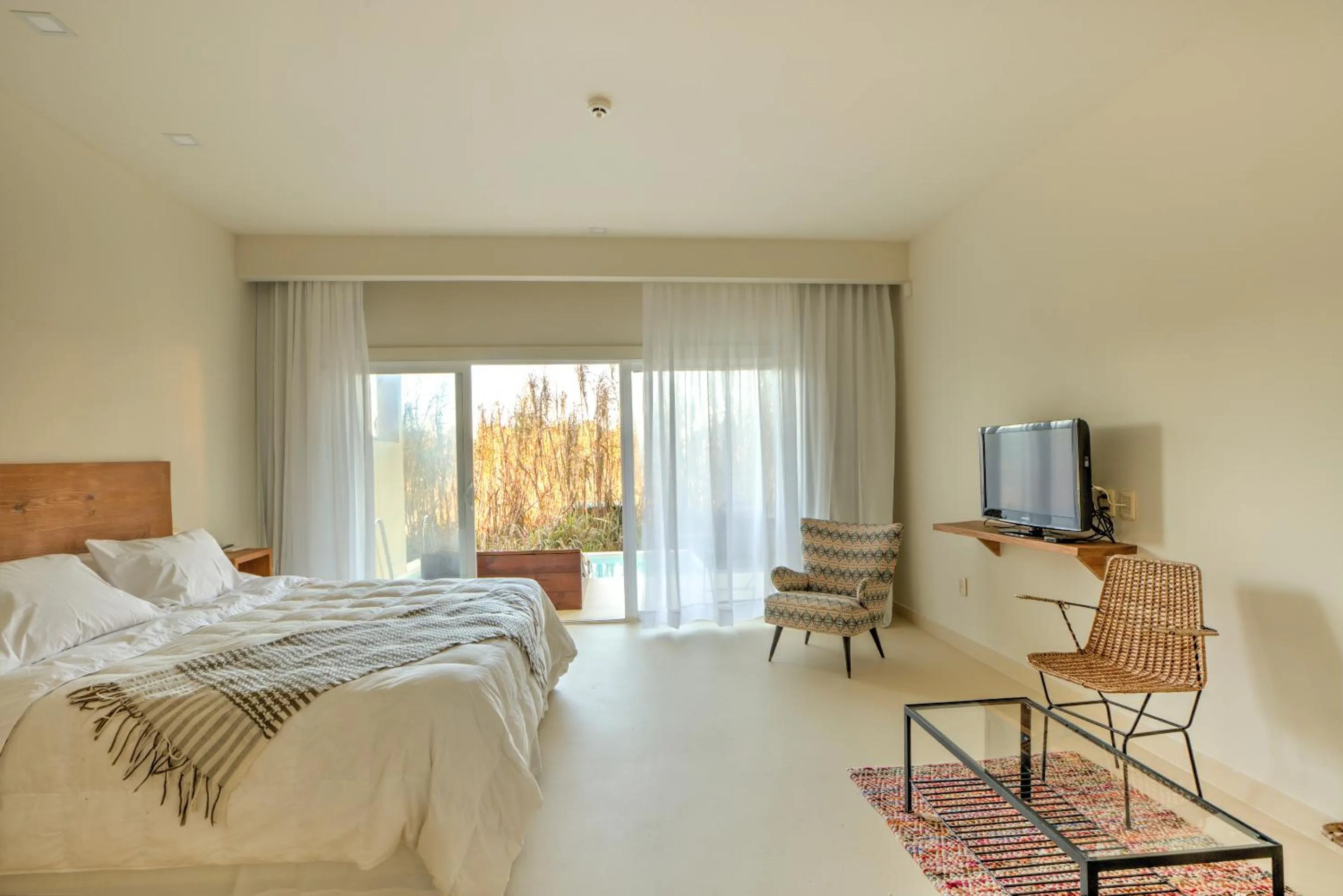 Photo of the whole room, Bed in La Viuda de José Ignacio