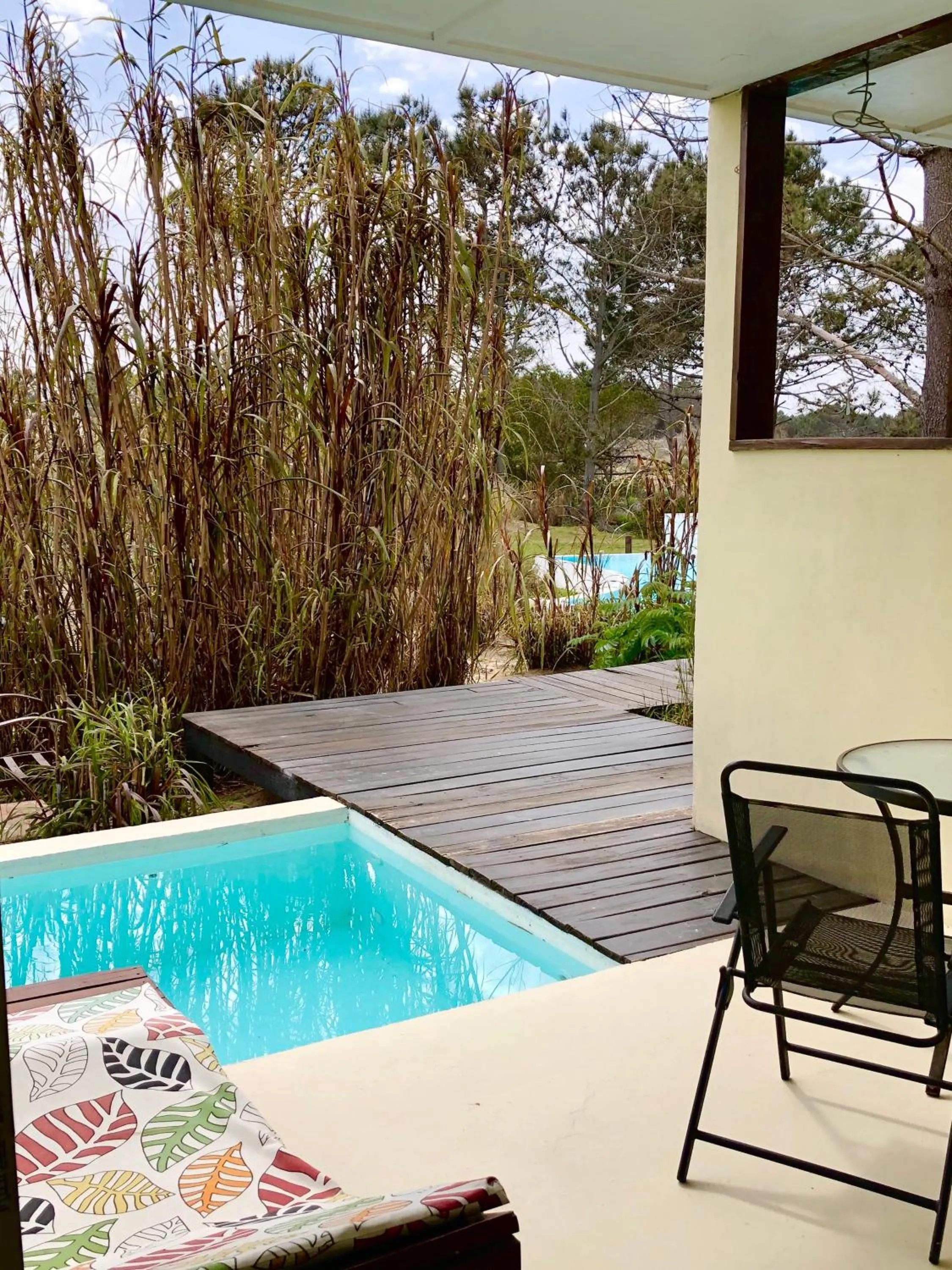 Photo of the whole room in La Viuda de José Ignacio