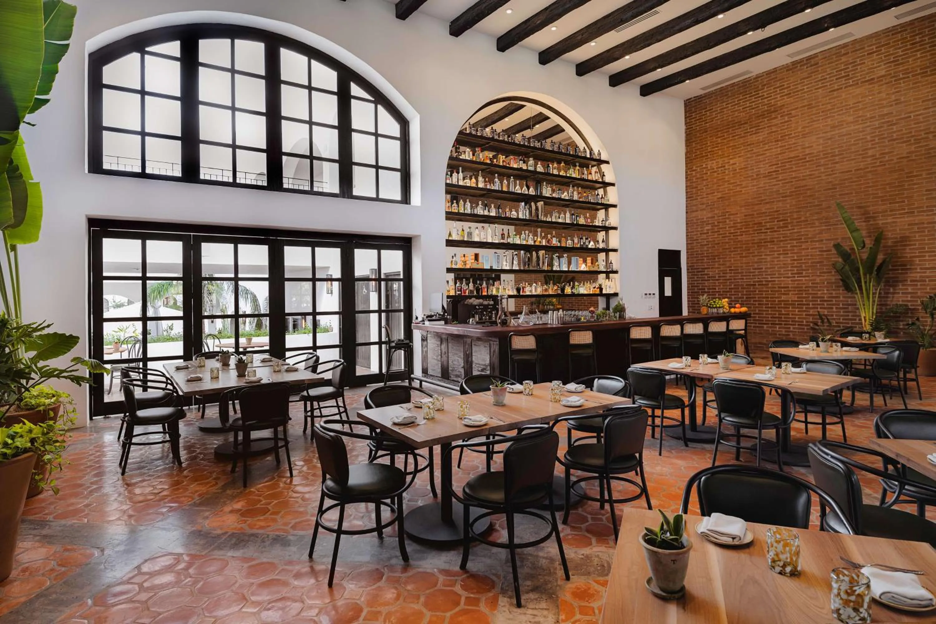 Lounge or bar in Tropicana Los Cabos, Tapestry Collection by Hilton